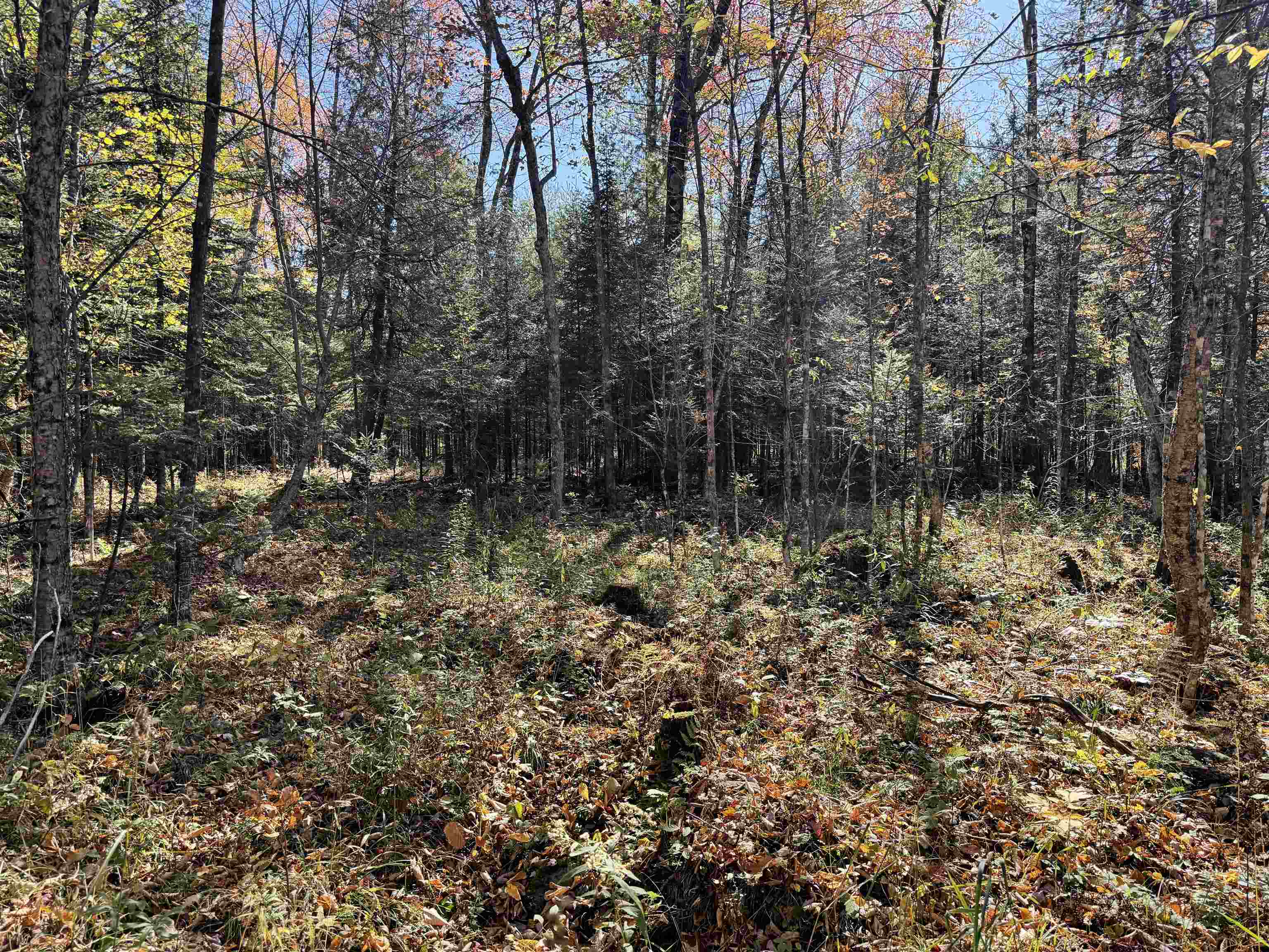 00 BEHNKE ROAD, Iola, Wisconsin 54945, ,Land,For Sale,00 BEHNKE ROAD,22604753