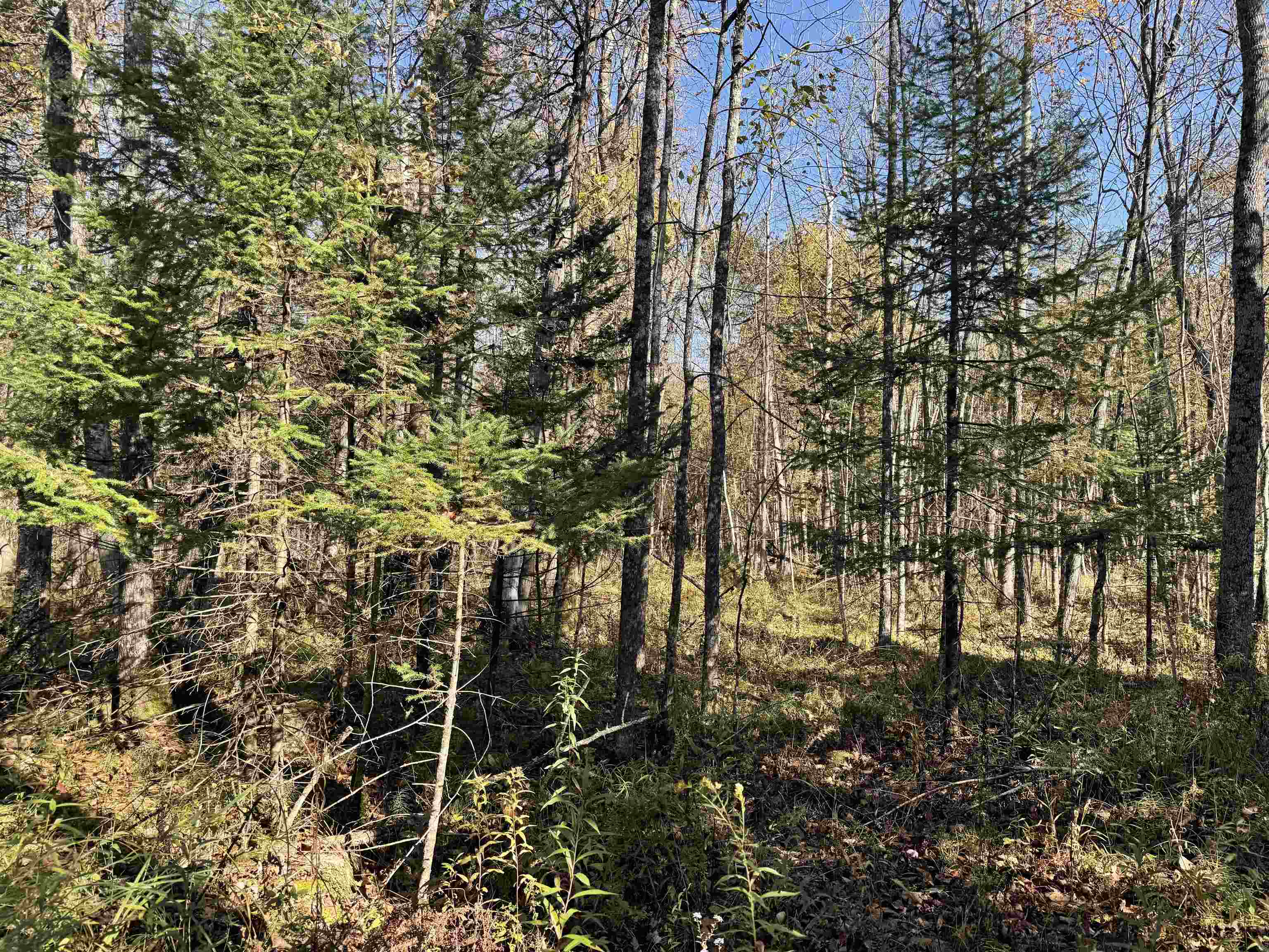 00 BEHNKE ROAD, Iola, Wisconsin 54945, ,Land,For Sale,00 BEHNKE ROAD,22604753