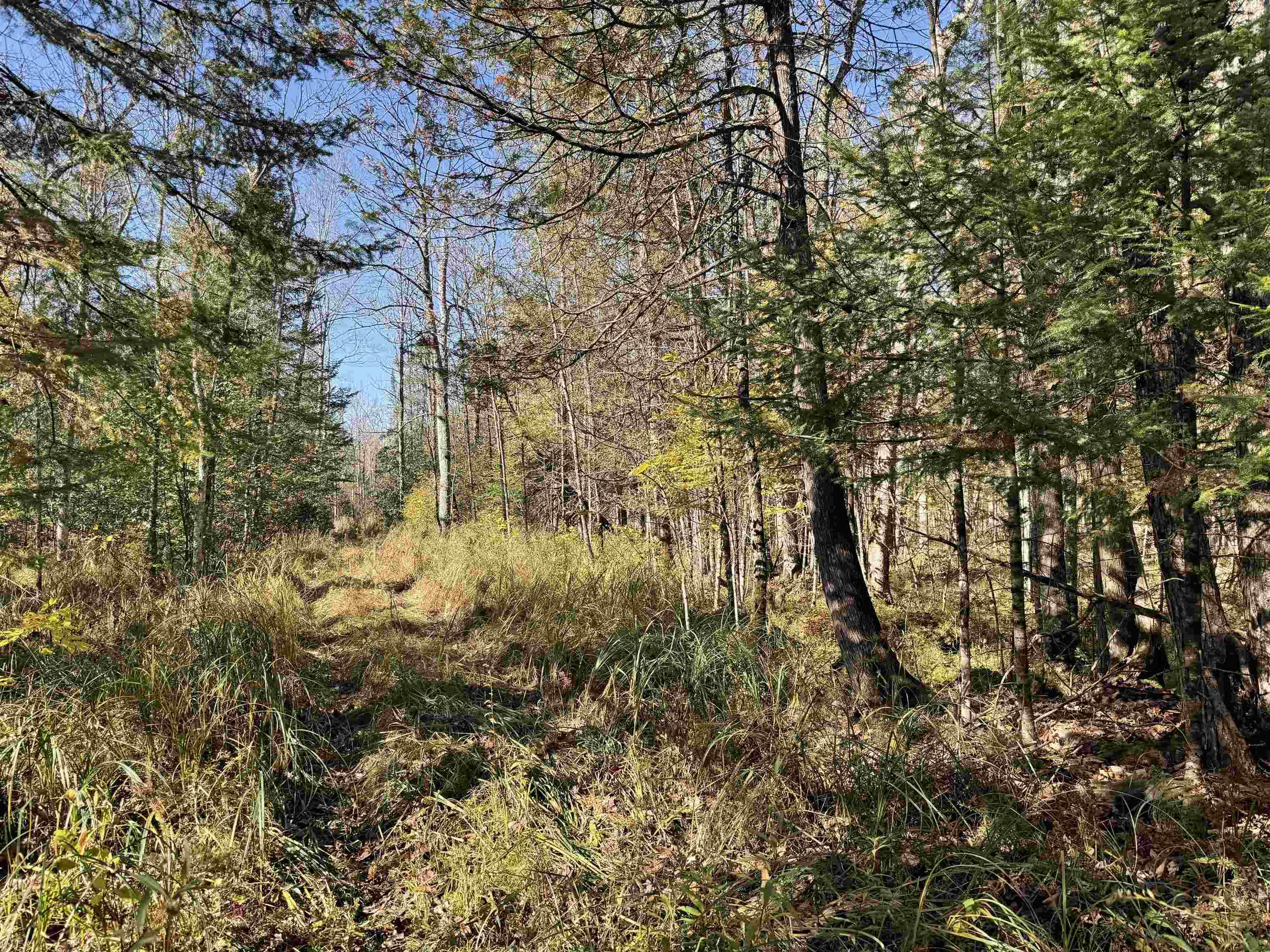 00 BEHNKE ROAD, Iola, Wisconsin 54945, ,Land,For Sale,00 BEHNKE ROAD,22604753