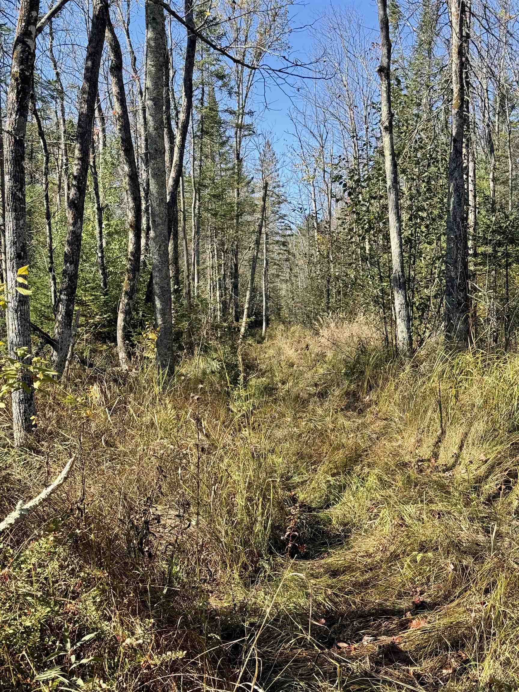 00 BEHNKE ROAD, Iola, Wisconsin 54945, ,Land,For Sale,00 BEHNKE ROAD,22604753