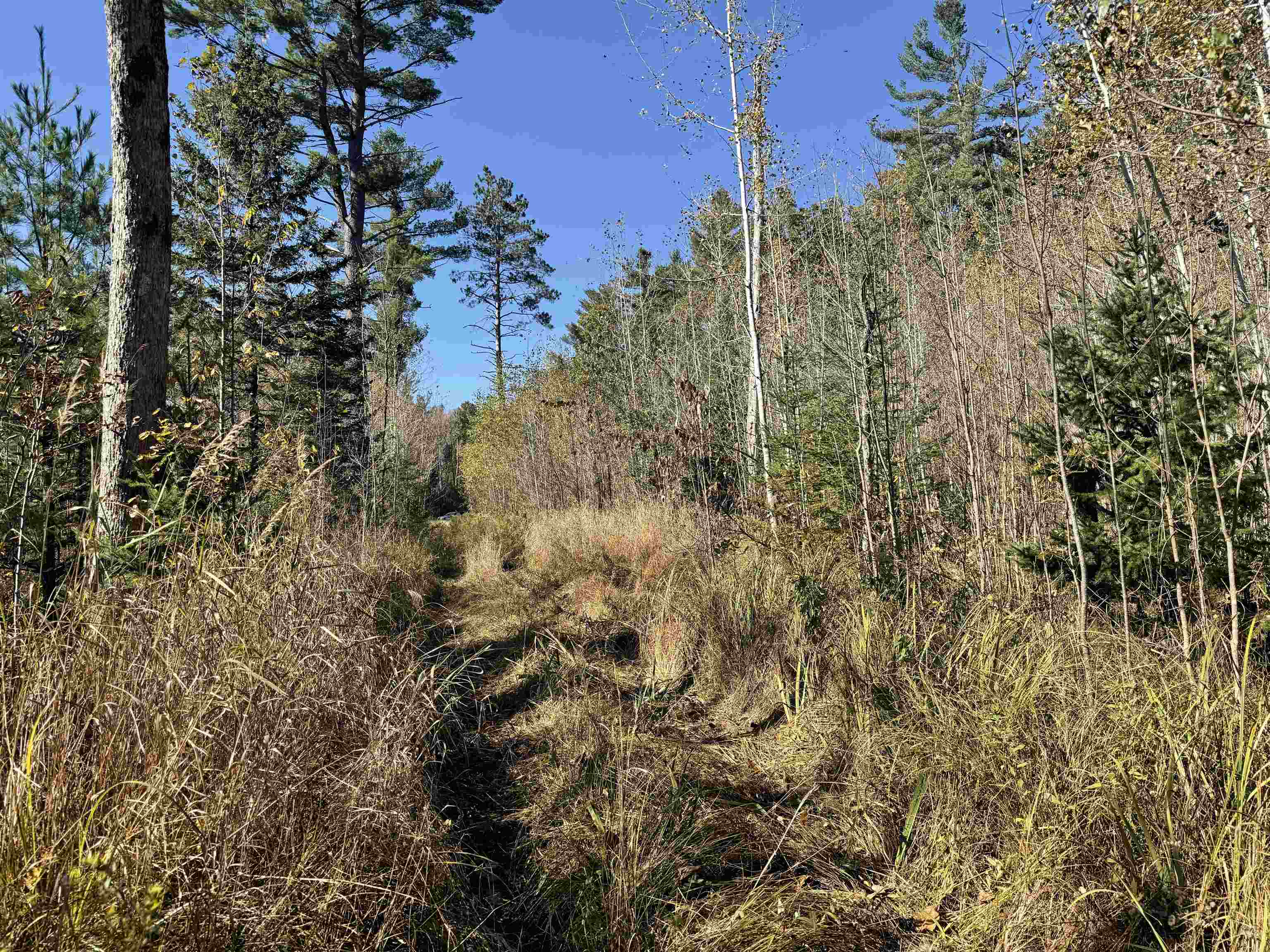 00 BEHNKE ROAD, Iola, Wisconsin 54945, ,Land,For Sale,00 BEHNKE ROAD,22604753