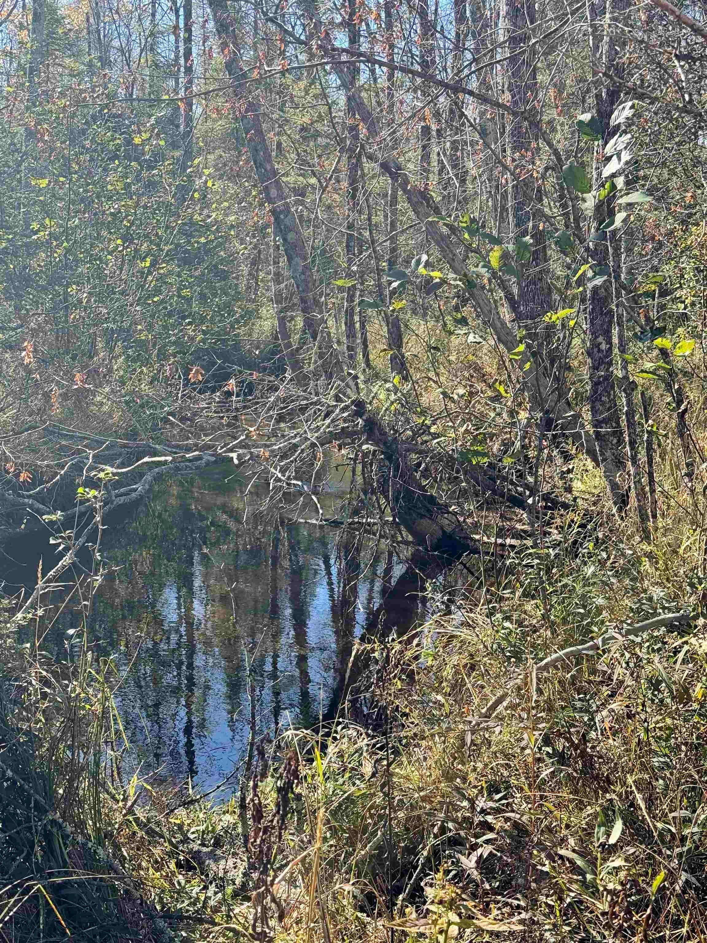 00 BEHNKE ROAD, Iola, Wisconsin 54945, ,Land,For Sale,00 BEHNKE ROAD,22604753