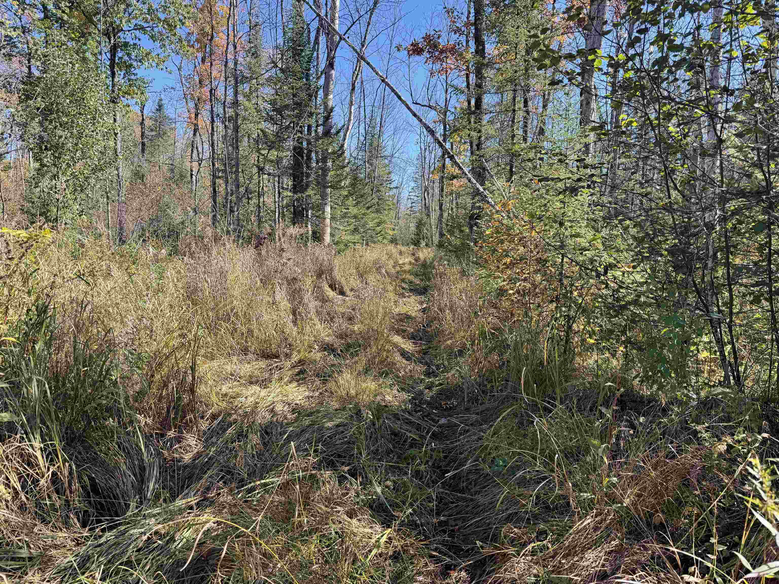 00 BEHNKE ROAD, Iola, Wisconsin 54945, ,Land,For Sale,00 BEHNKE ROAD,22604753