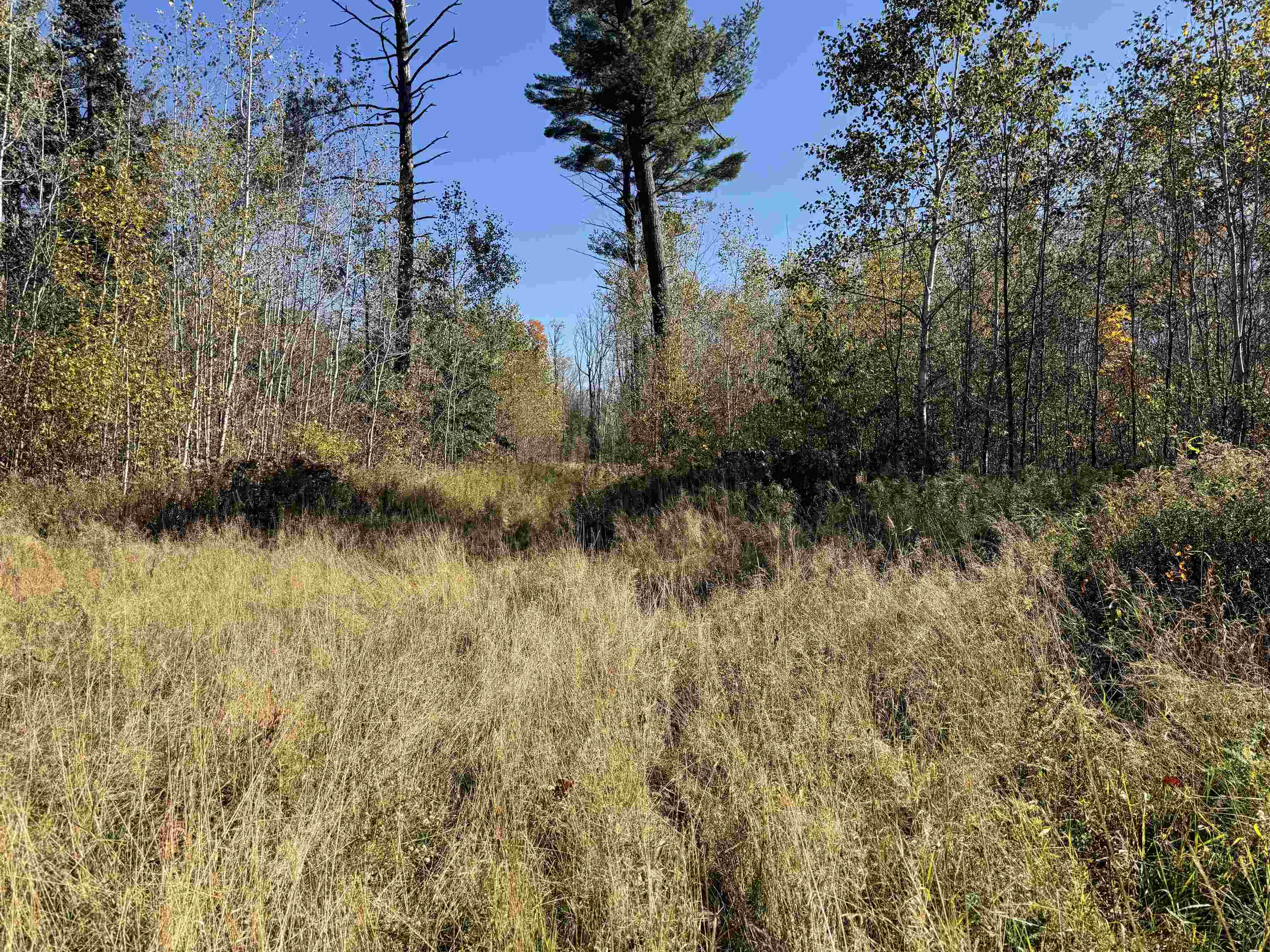 00 BEHNKE ROAD, Iola, Wisconsin 54945, ,Land,For Sale,00 BEHNKE ROAD,22604753