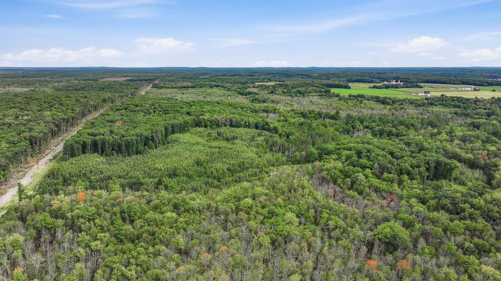00 BEHNKE ROAD, Iola, Wisconsin 54945, ,Land,For Sale,00 BEHNKE ROAD,22604753