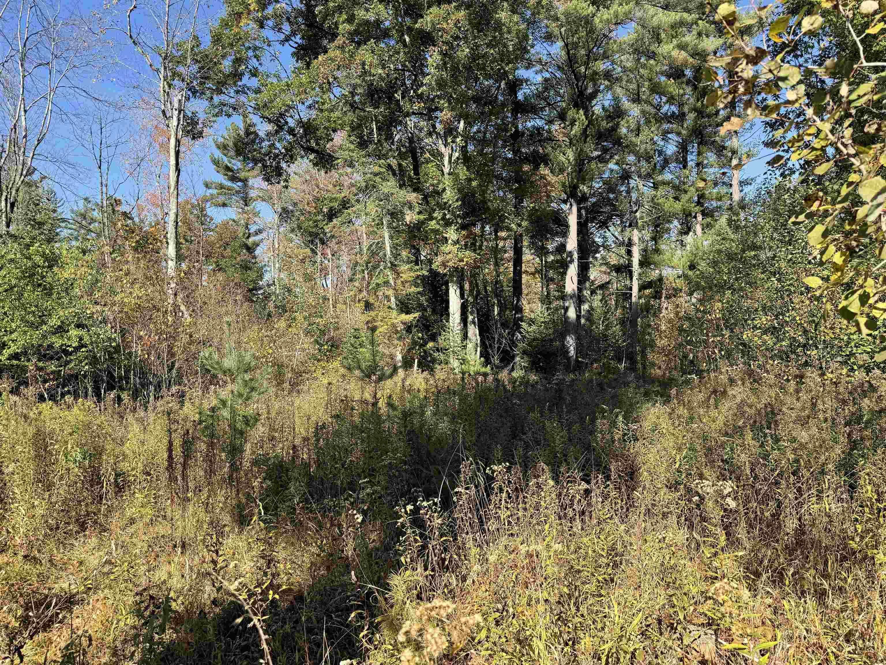00 BEHNKE ROAD, Iola, Wisconsin 54945, ,Land,For Sale,00 BEHNKE ROAD,22604753