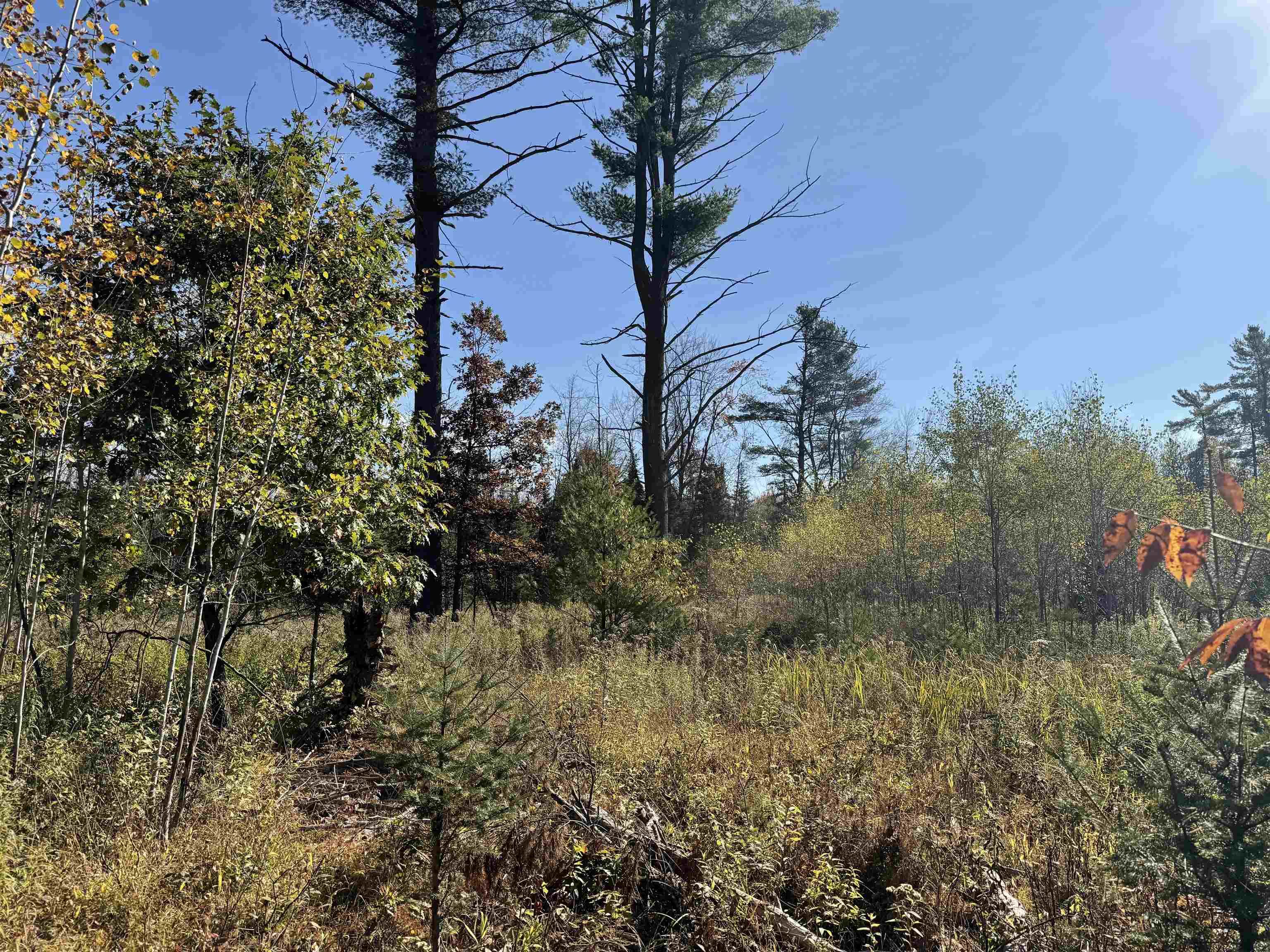 00 BEHNKE ROAD, Iola, Wisconsin 54945, ,Land,For Sale,00 BEHNKE ROAD,22604753