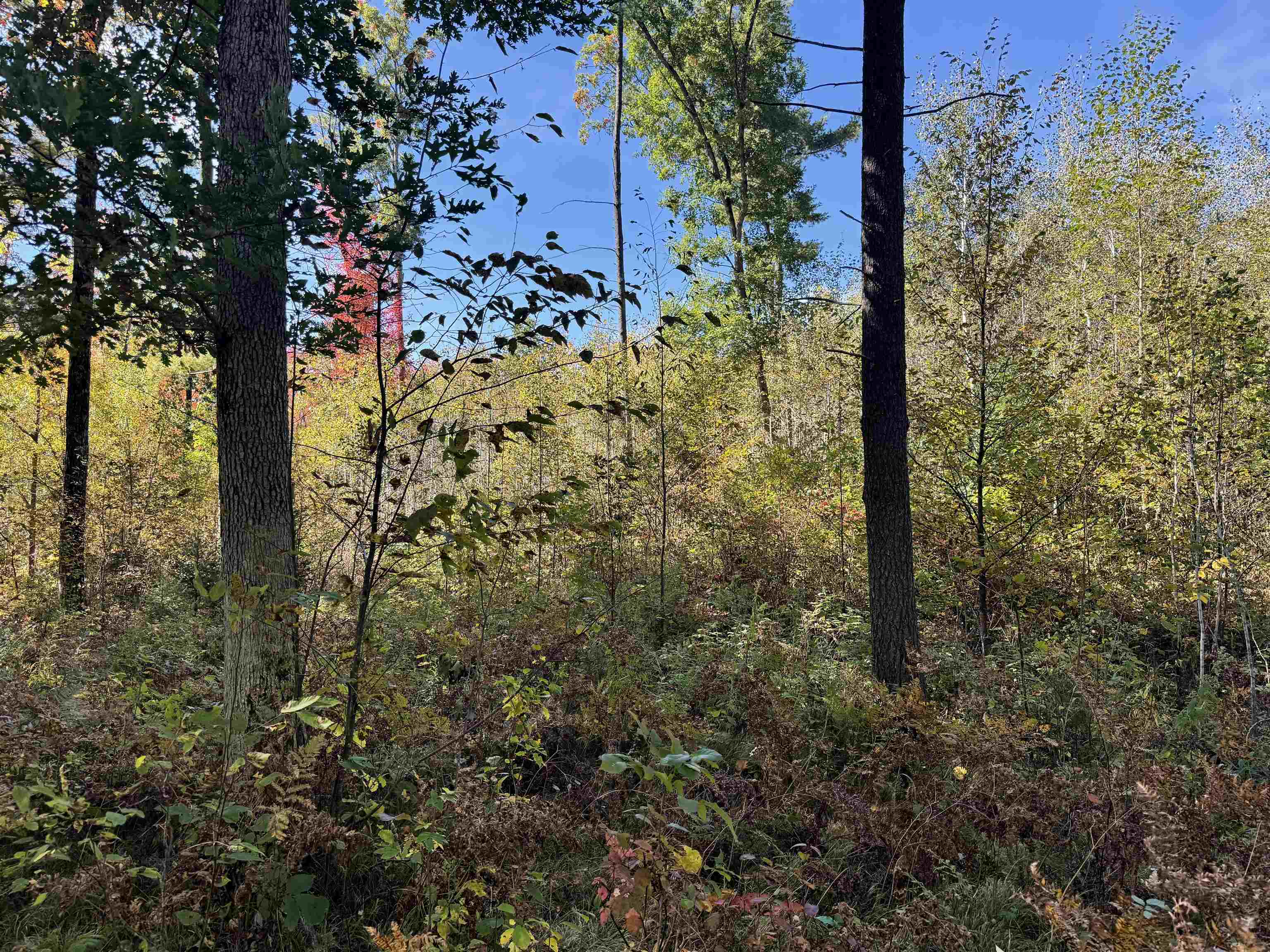 00 BEHNKE ROAD, Iola, Wisconsin 54945, ,Land,For Sale,00 BEHNKE ROAD,22604753
