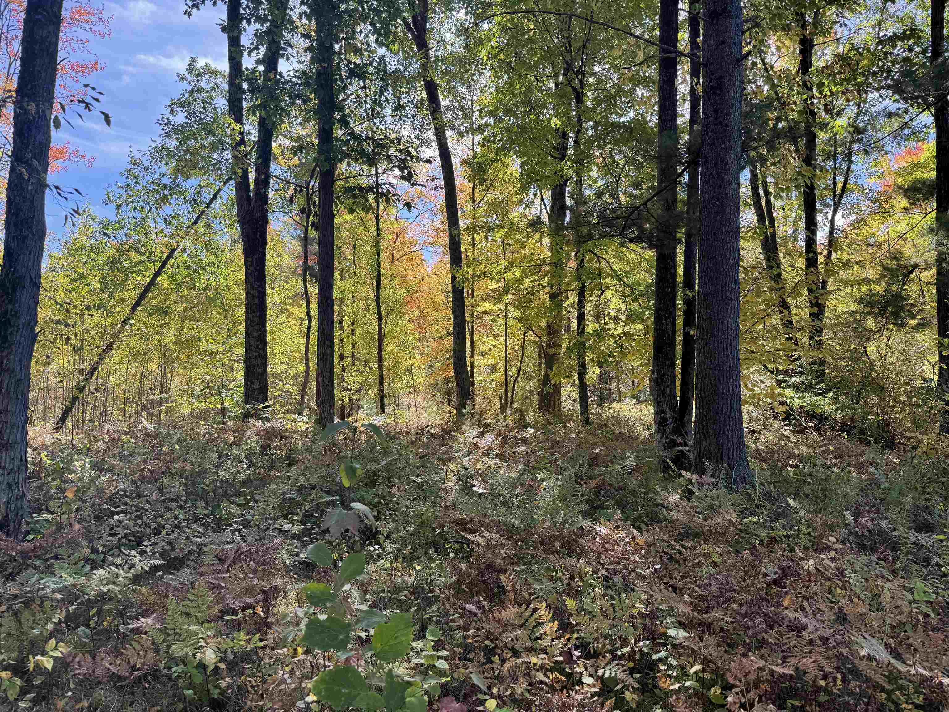 00 BEHNKE ROAD, Iola, Wisconsin 54945, ,Land,For Sale,00 BEHNKE ROAD,22604753