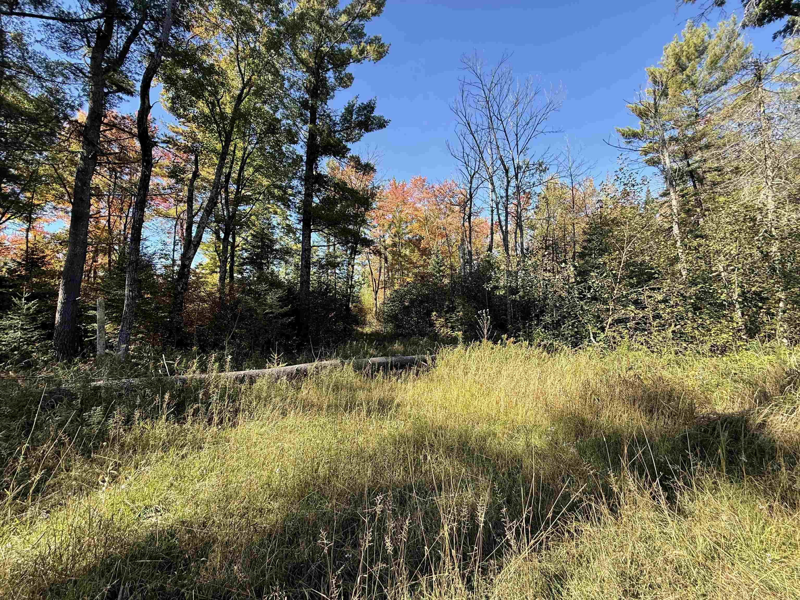 00 BEHNKE ROAD, Iola, Wisconsin 54945, ,Land,For Sale,00 BEHNKE ROAD,22604753