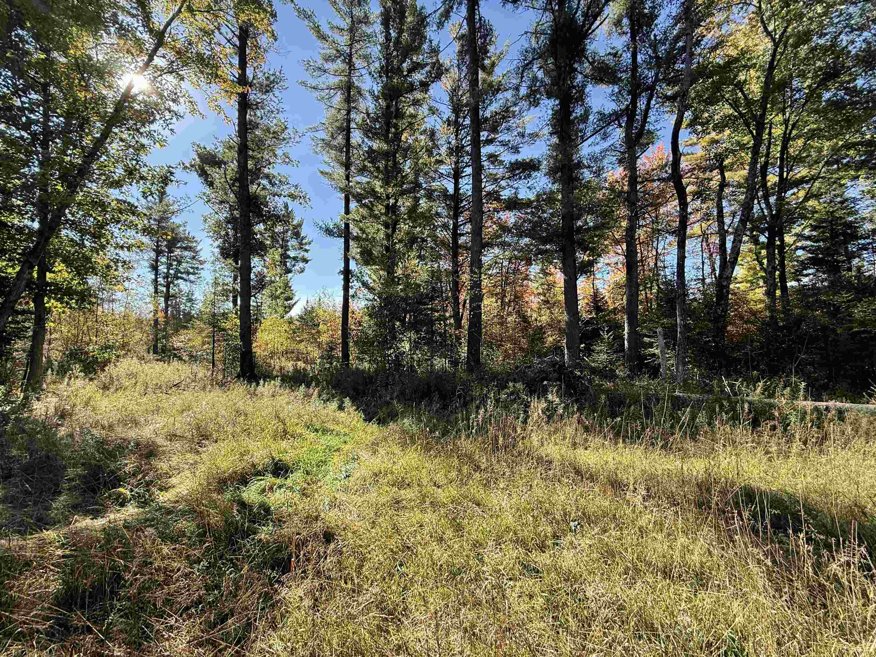 00 BEHNKE ROAD, Iola, Wisconsin 54945, ,Land,For Sale,00 BEHNKE ROAD,22604753