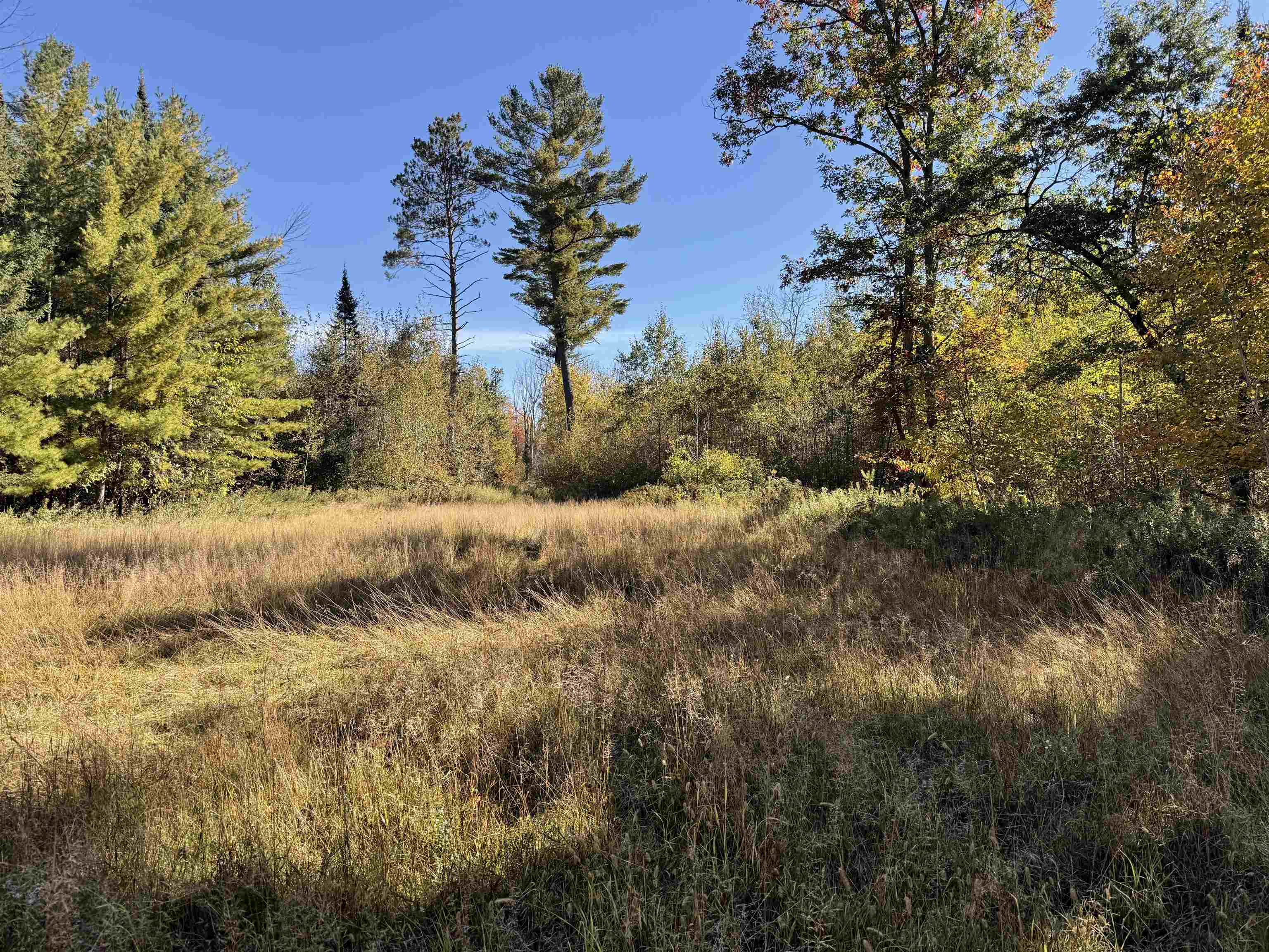 00 BEHNKE ROAD, Iola, Wisconsin 54945, ,Land,For Sale,00 BEHNKE ROAD,22604753