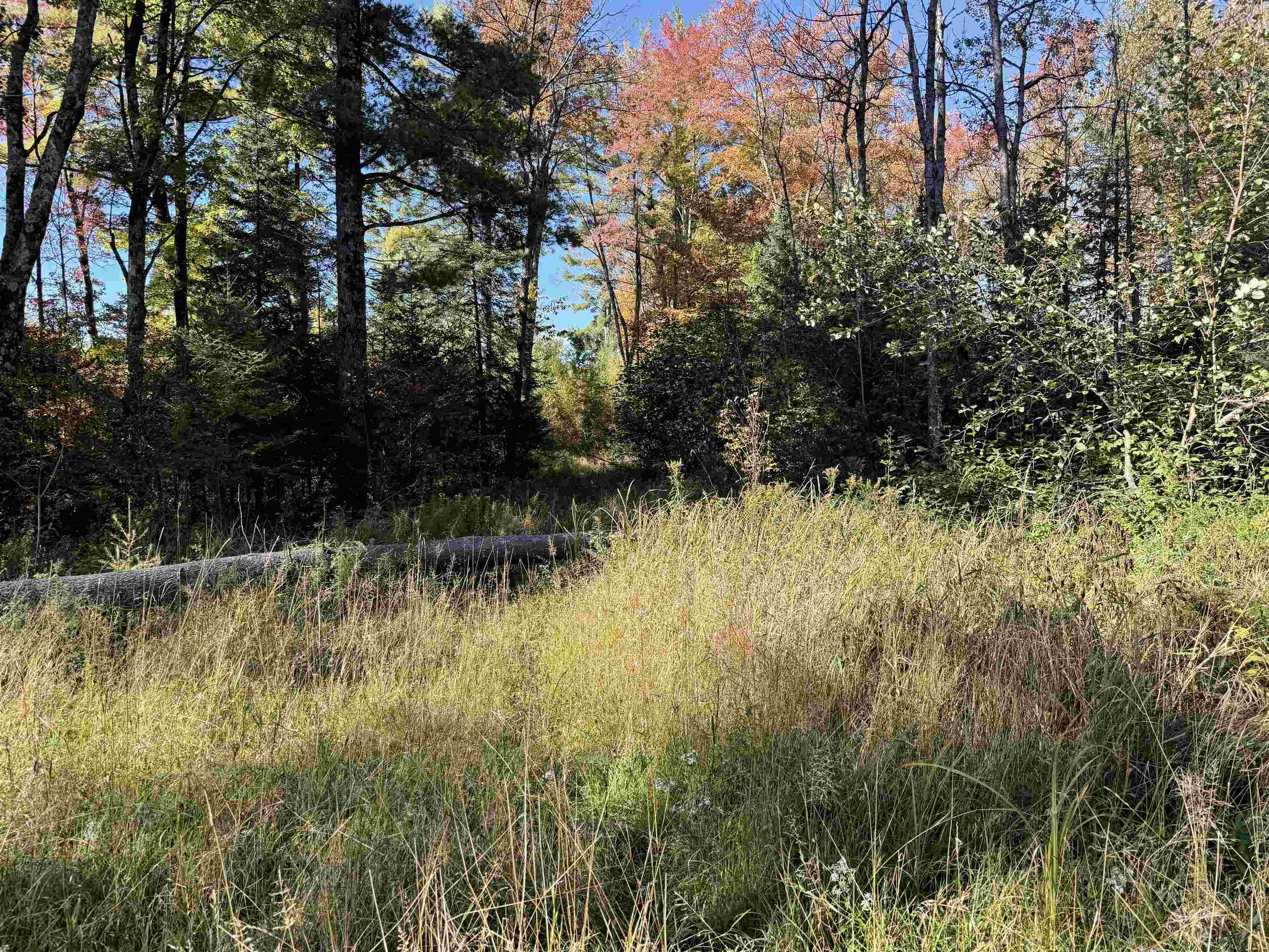 00 BEHNKE ROAD, Iola, Wisconsin 54945, ,Land,For Sale,00 BEHNKE ROAD,22604753
