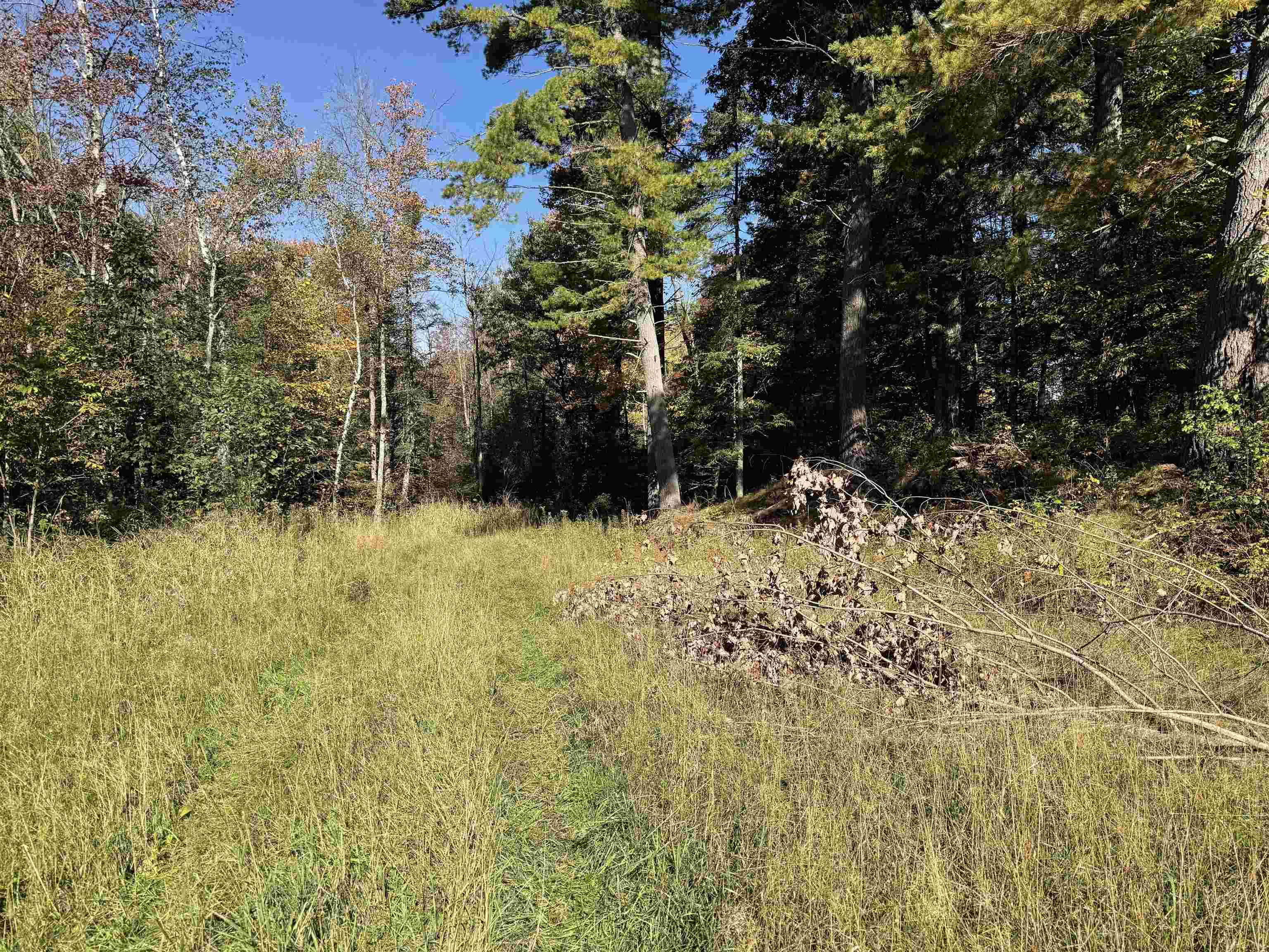 00 BEHNKE ROAD, Iola, Wisconsin 54945, ,Land,For Sale,00 BEHNKE ROAD,22604753