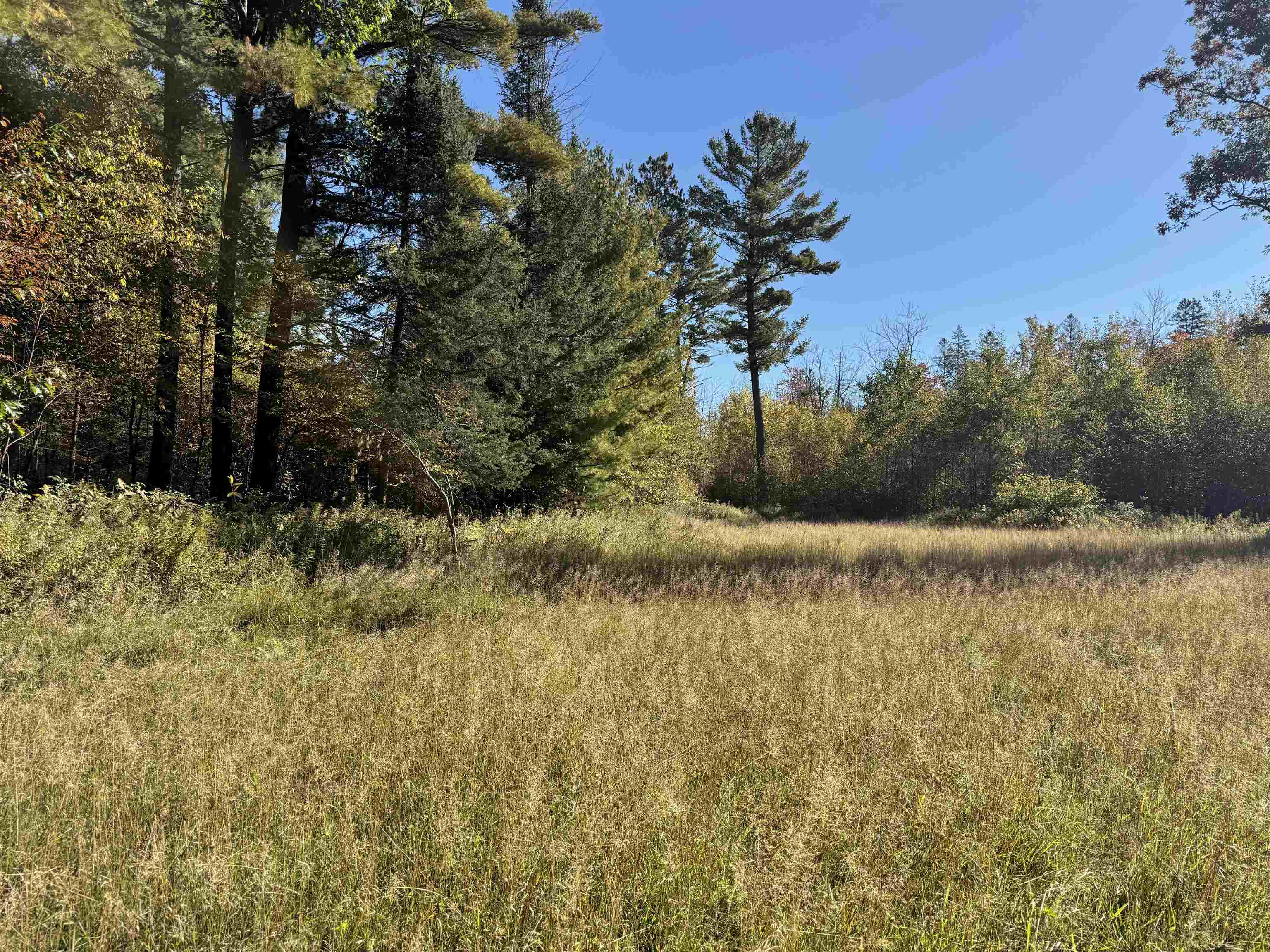 00 BEHNKE ROAD, Iola, Wisconsin 54945, ,Land,For Sale,00 BEHNKE ROAD,22604753