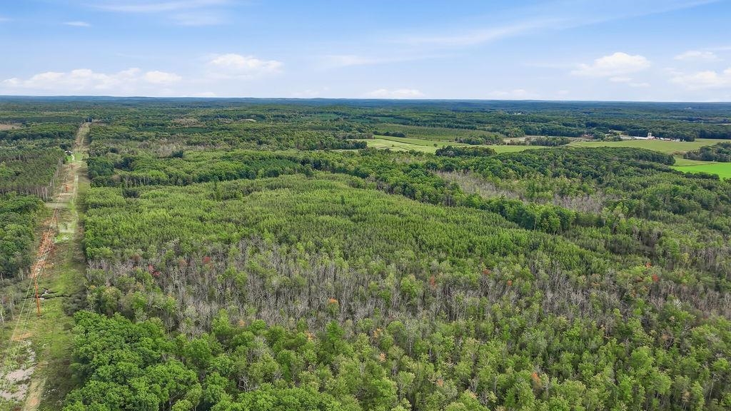 00 BEHNKE ROAD, Iola, Wisconsin 54945, ,Land,For Sale,00 BEHNKE ROAD,22604753