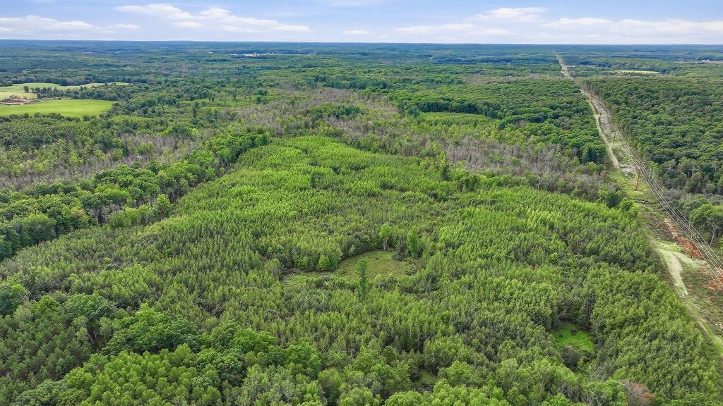 00 BEHNKE ROAD, Iola, Wisconsin 54945, ,Land,For Sale,00 BEHNKE ROAD,22604753