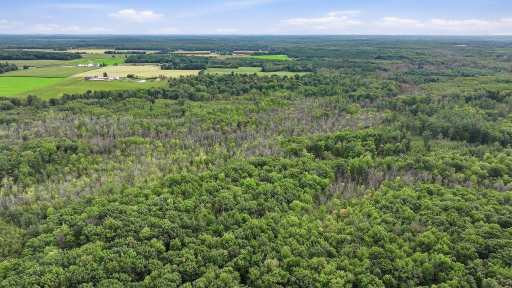 00 BEHNKE ROAD, Iola, Wisconsin 54945, ,Land,For Sale,00 BEHNKE ROAD,22604753