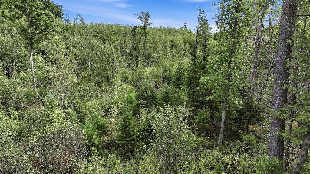 00 BEHNKE ROAD, Iola, Wisconsin 54945, ,Land,For Sale,00 BEHNKE ROAD,22604753