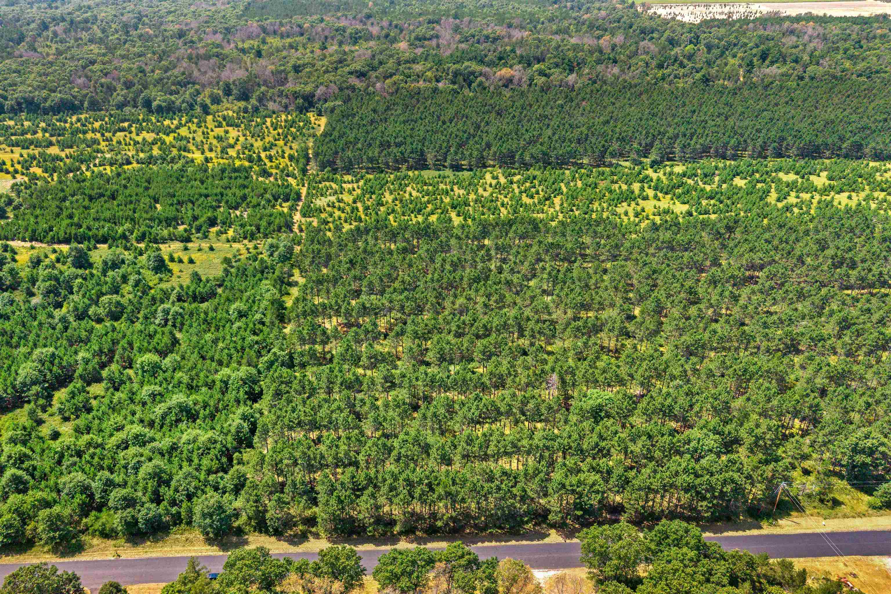 Lot 4, 10 Acres BELL ROAD, Wisconsin Rapids, Wisconsin 54494, ,Land,For Sale,Lot 4, 10 Acres BELL ROAD,22604760