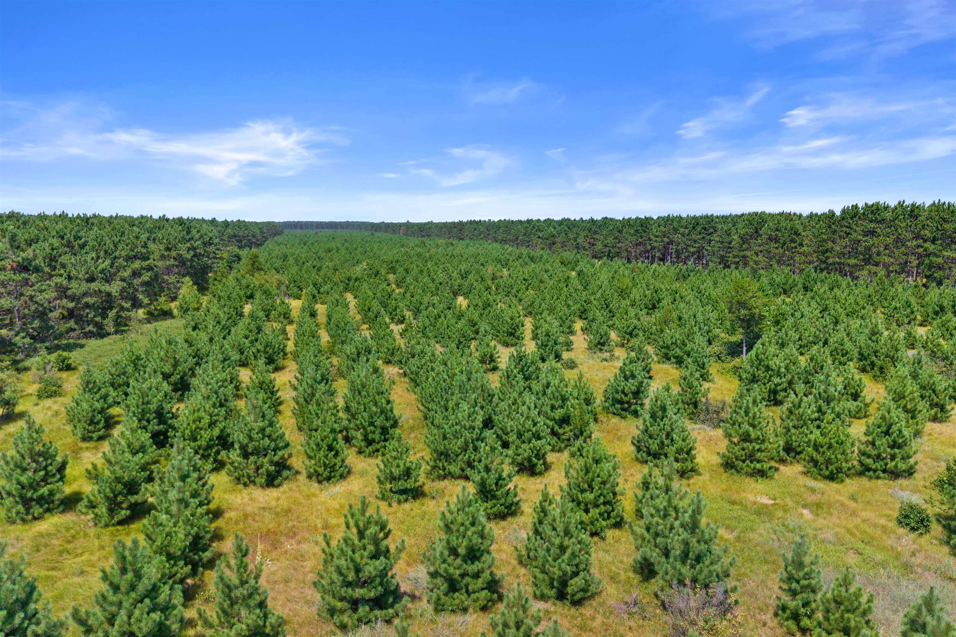 Lot 4, 10 Acres BELL ROAD, Wisconsin Rapids, Wisconsin 54494, ,Land,For Sale,Lot 4, 10 Acres BELL ROAD,22604760