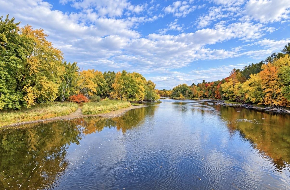 UP RIVER ROAD, Phillips, Wisconsin 54555, ,Land,For Sale,UP RIVER ROAD,22604784