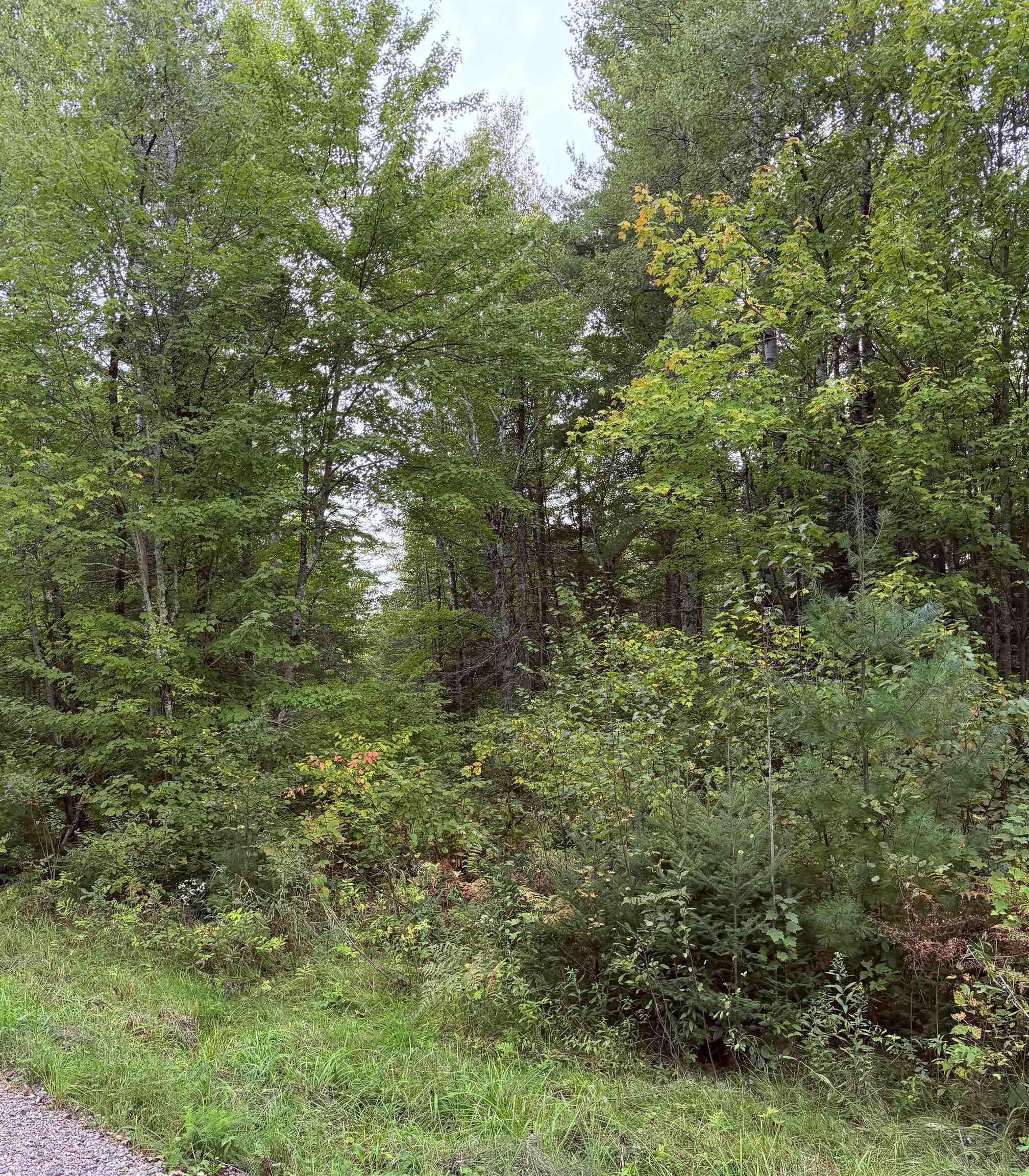 UP RIVER ROAD, Phillips, Wisconsin 54555, ,Land,For Sale,UP RIVER ROAD,22604784