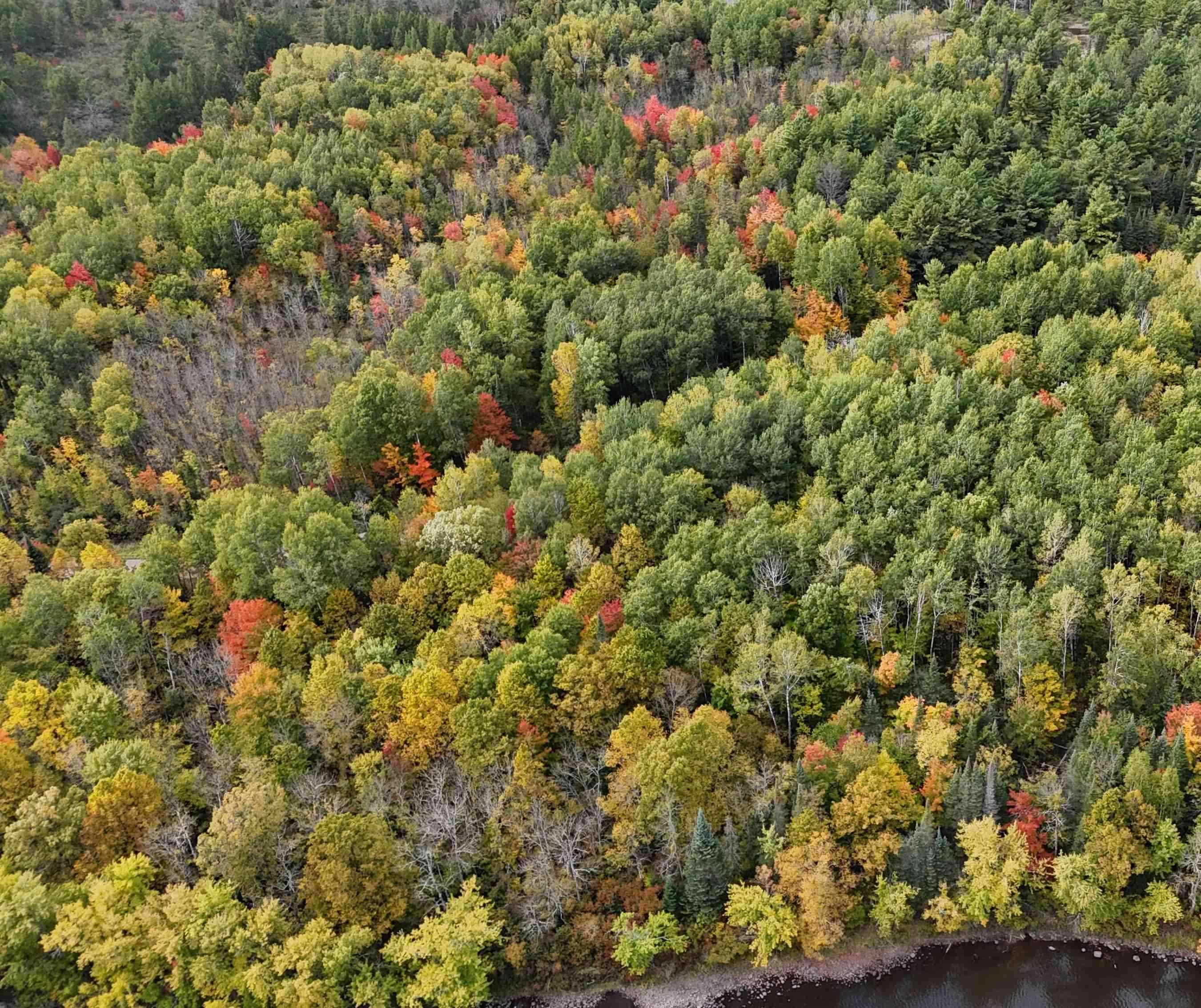 UP RIVER ROAD, Phillips, Wisconsin 54555, ,Land,For Sale,UP RIVER ROAD,22604784