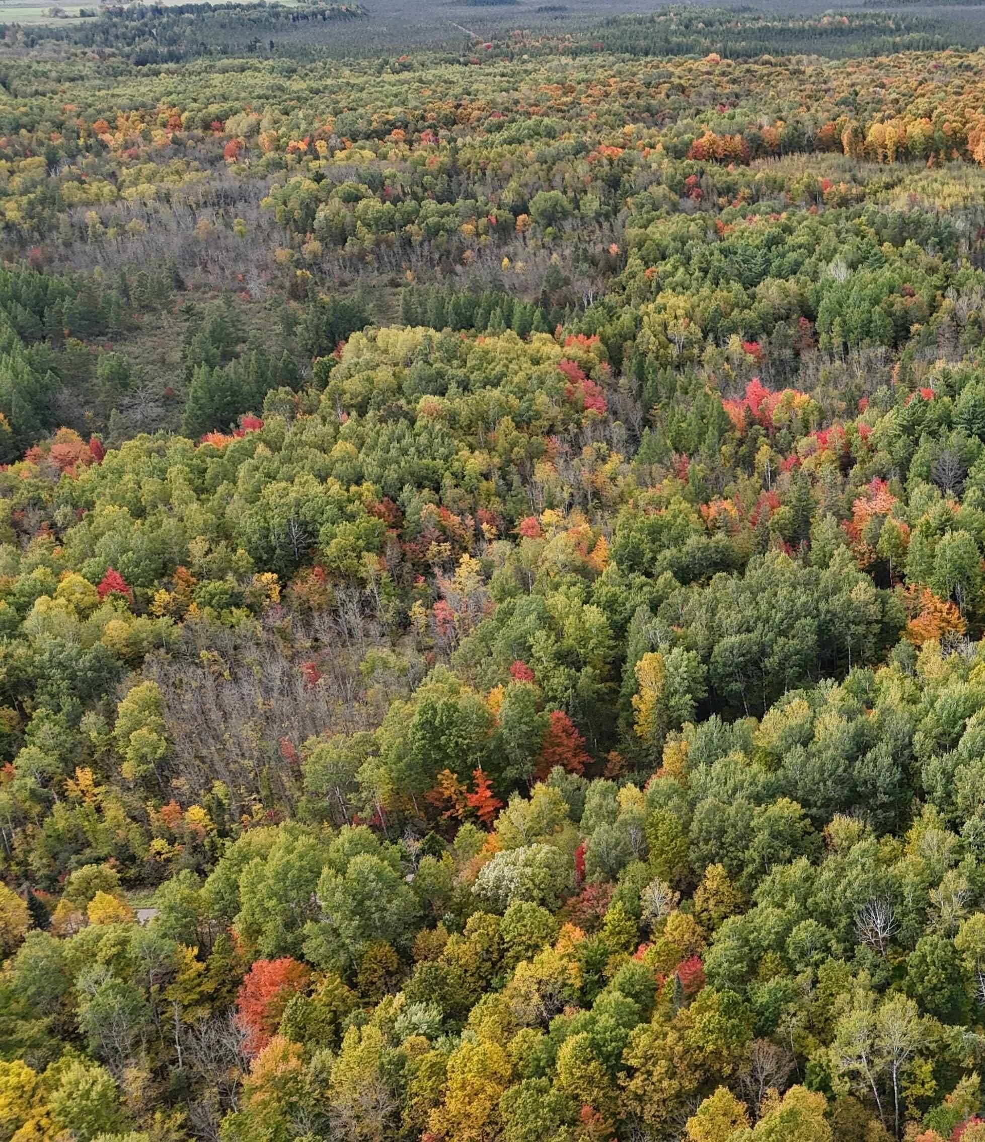 UP RIVER ROAD, Phillips, Wisconsin 54555, ,Land,For Sale,UP RIVER ROAD,22604784