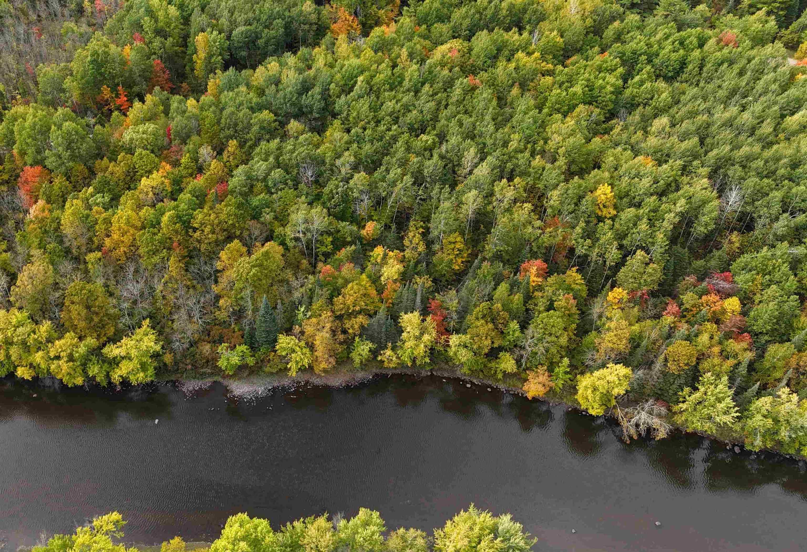 UP RIVER ROAD, Phillips, Wisconsin 54555, ,Land,For Sale,UP RIVER ROAD,22604784
