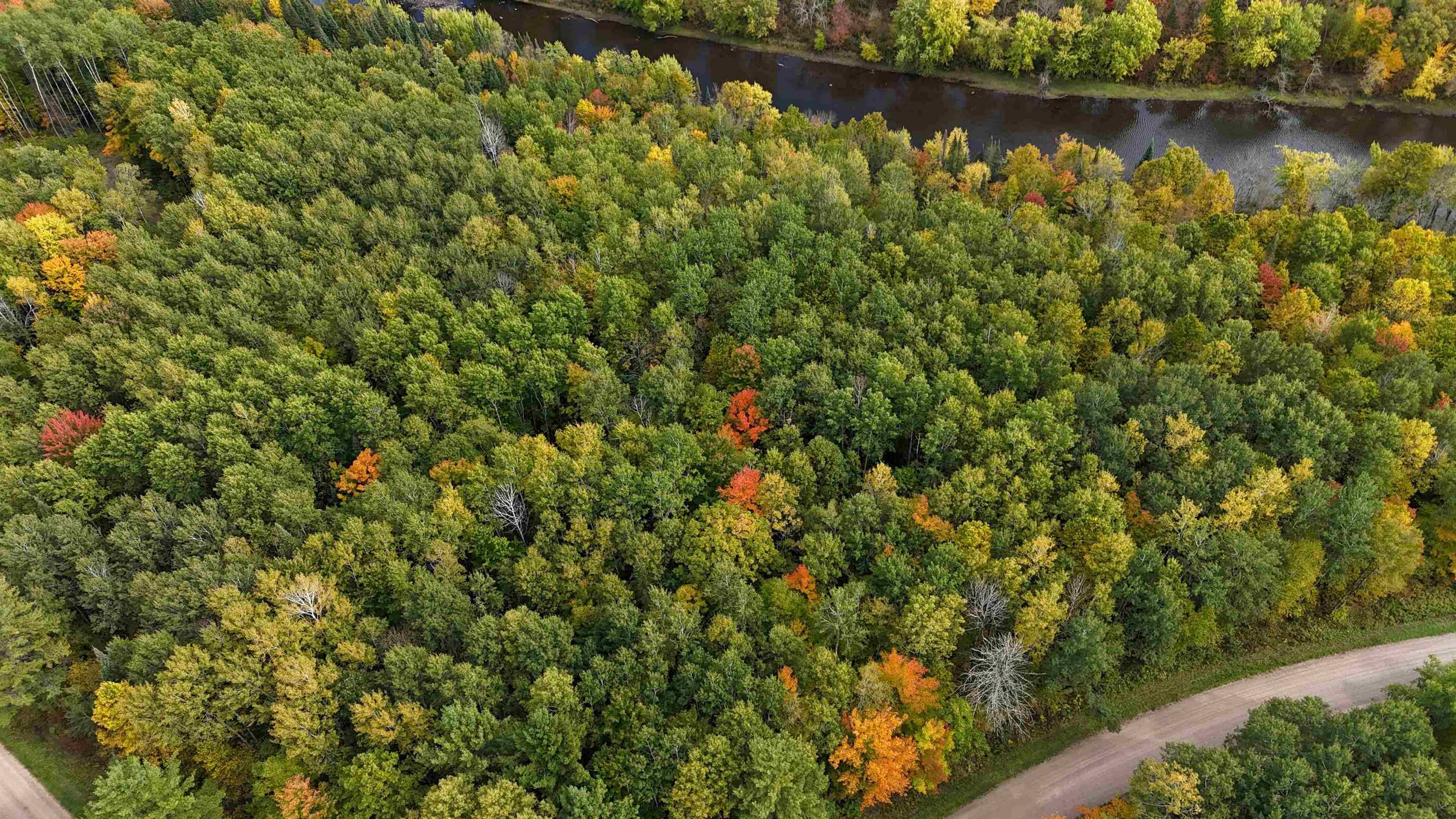 UP RIVER ROAD, Phillips, Wisconsin 54555, ,Land,For Sale,UP RIVER ROAD,22604784
