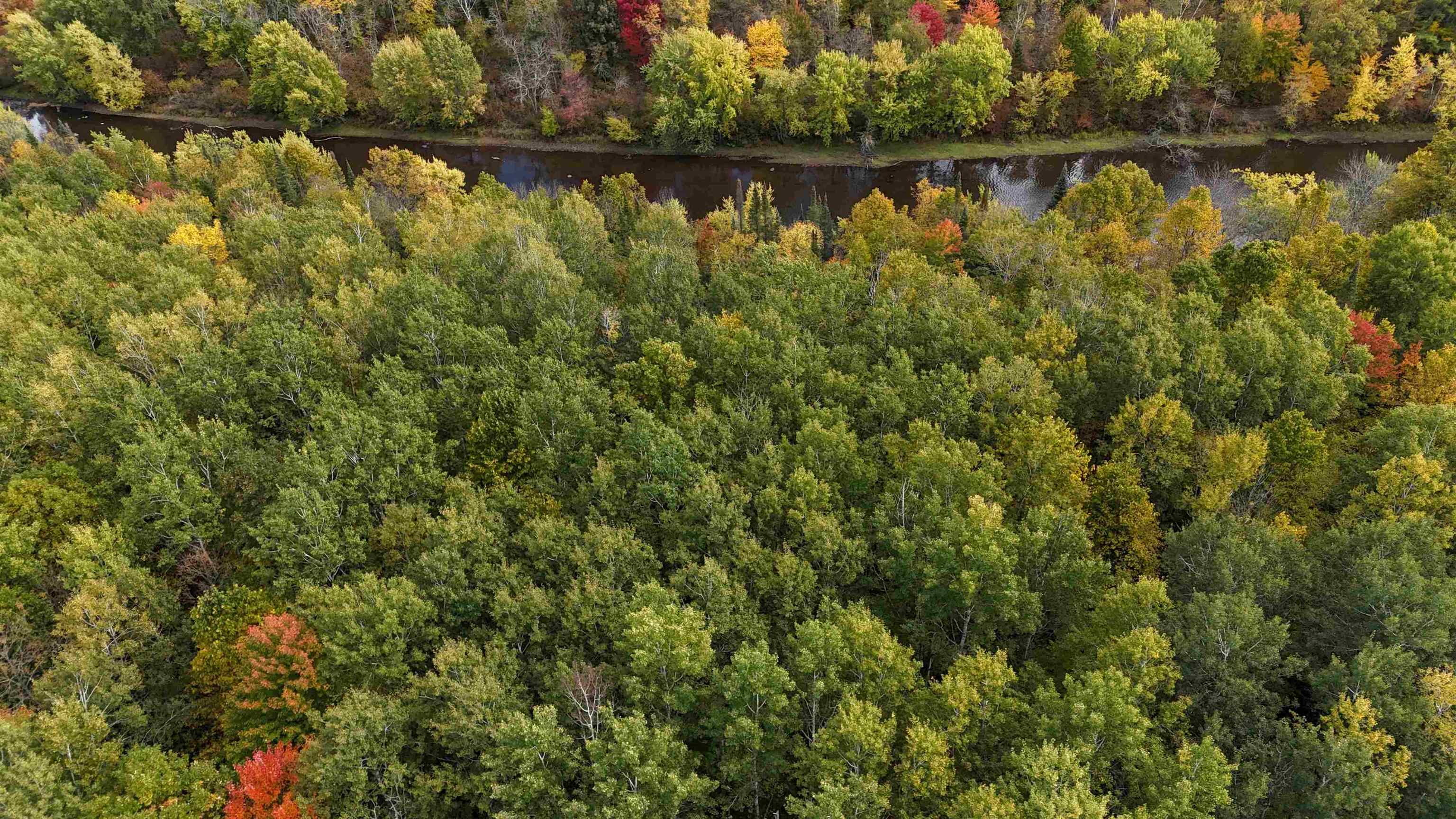 UP RIVER ROAD, Phillips, Wisconsin 54555, ,Land,For Sale,UP RIVER ROAD,22604784