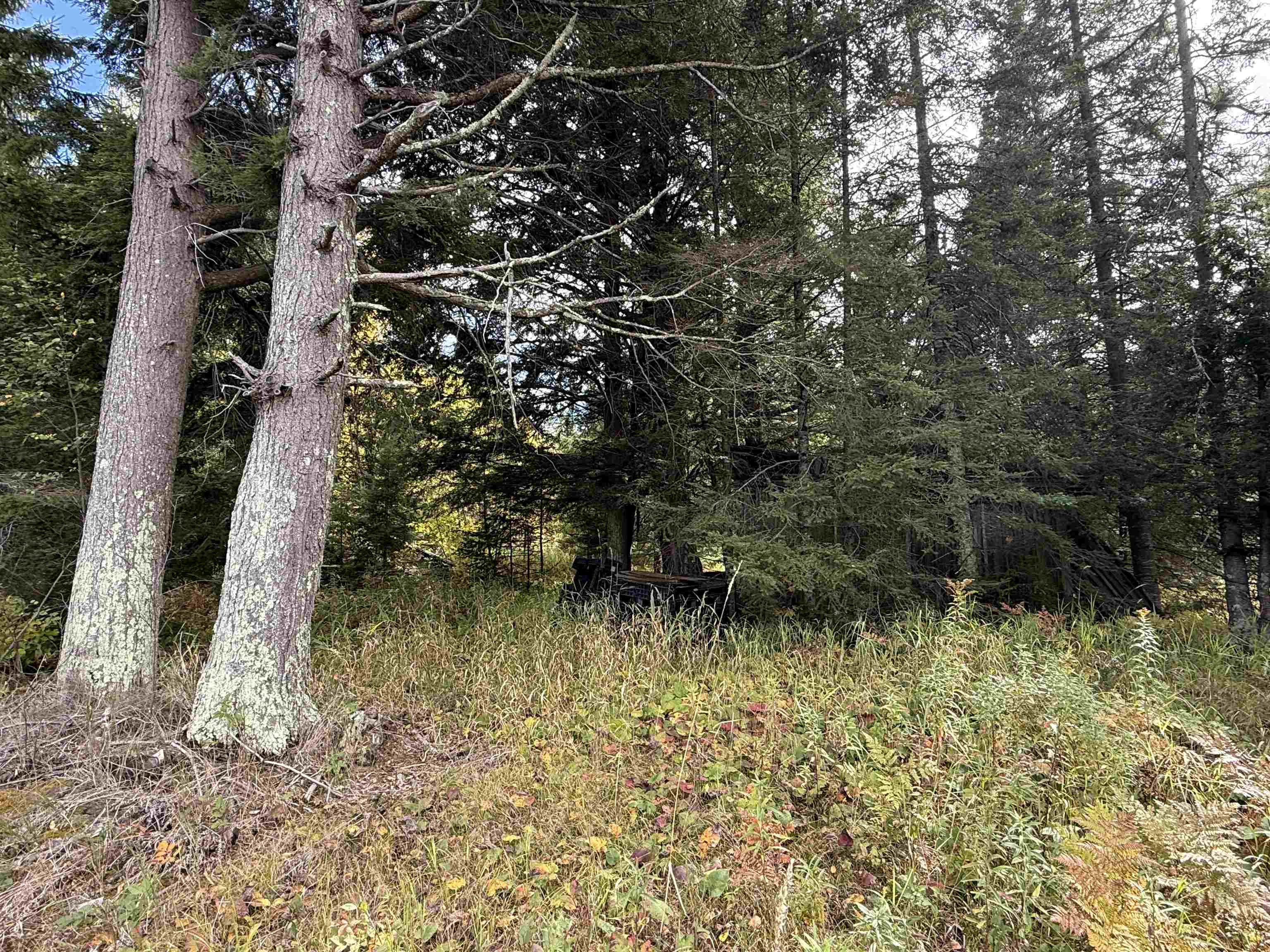 W11303 COUNTY ROAD W, Phillips, Wisconsin 54555, ,Land,For Sale,W11303 COUNTY ROAD W,22604798