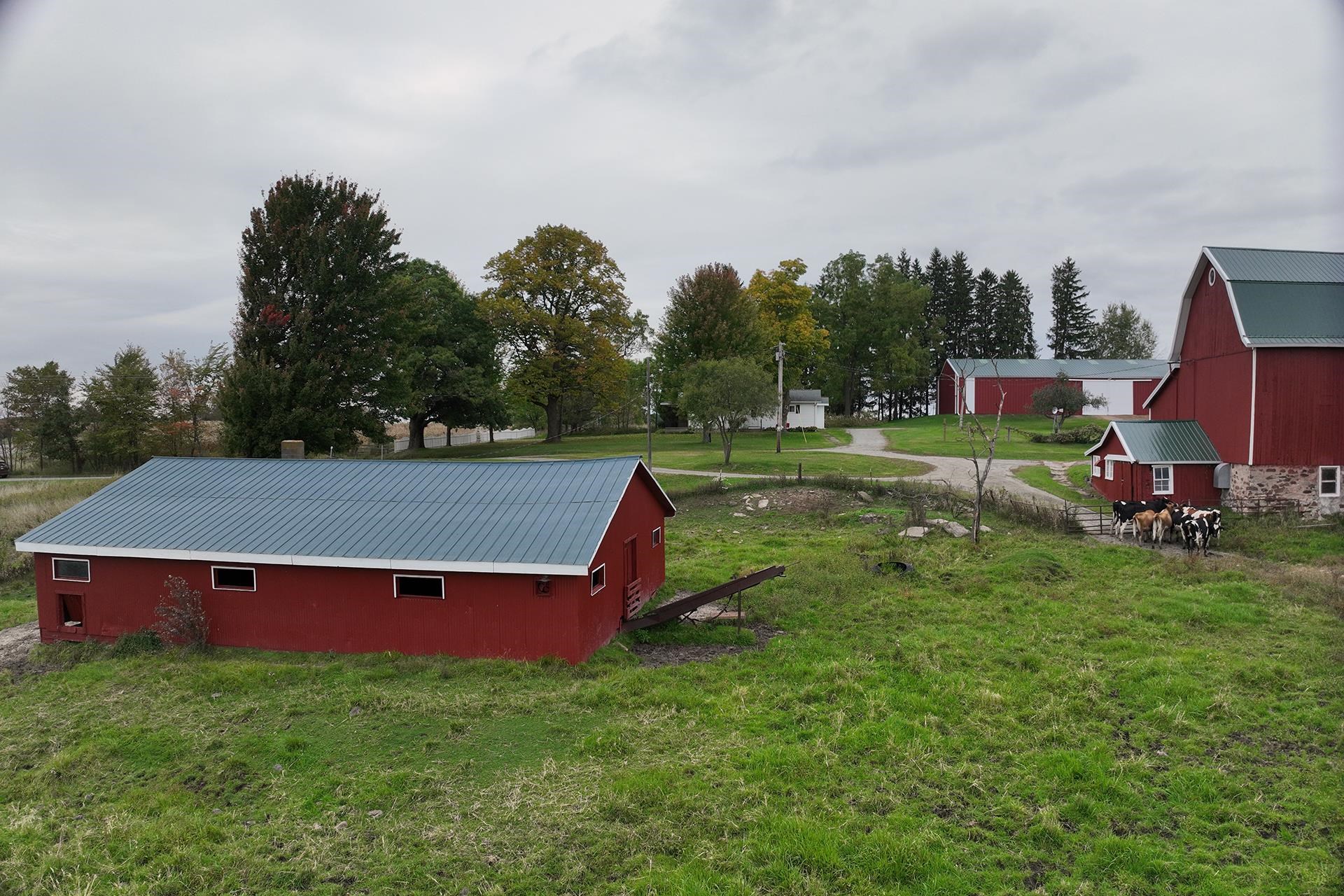 N6722 COUNTY ROAD G, Neillsville, Wisconsin 54456, 4 Bedrooms Bedrooms, ,1 BathroomBathrooms,Residential,For Sale,N6722 COUNTY ROAD G,22604812