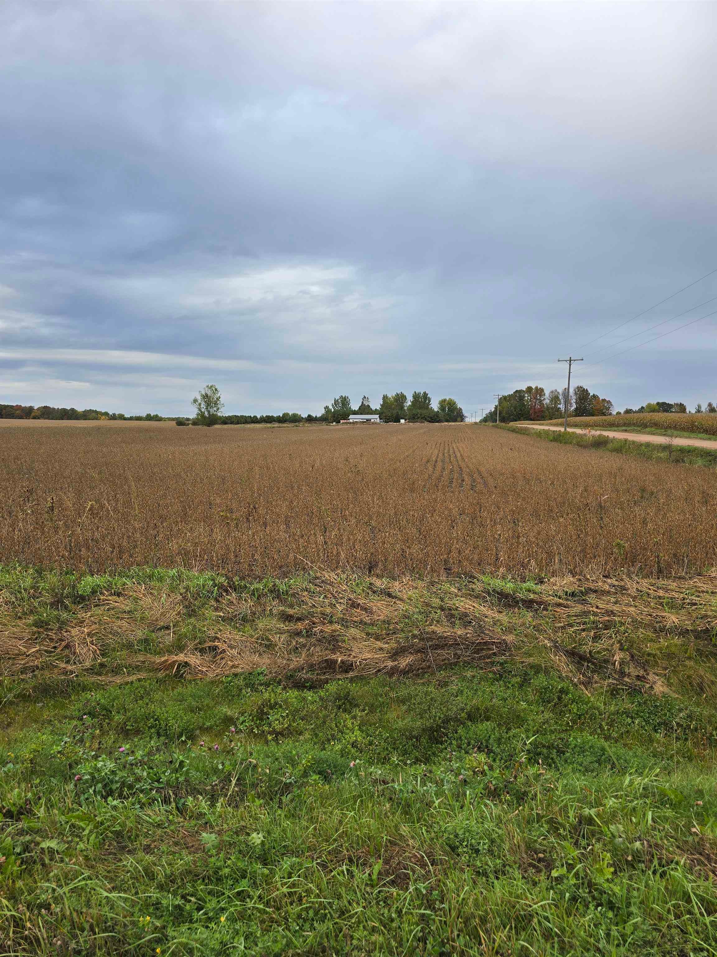 218098 HOLTMAN ROAD, Stratford, Wisconsin 54484, ,Land,For Sale,218098 HOLTMAN ROAD,22604922