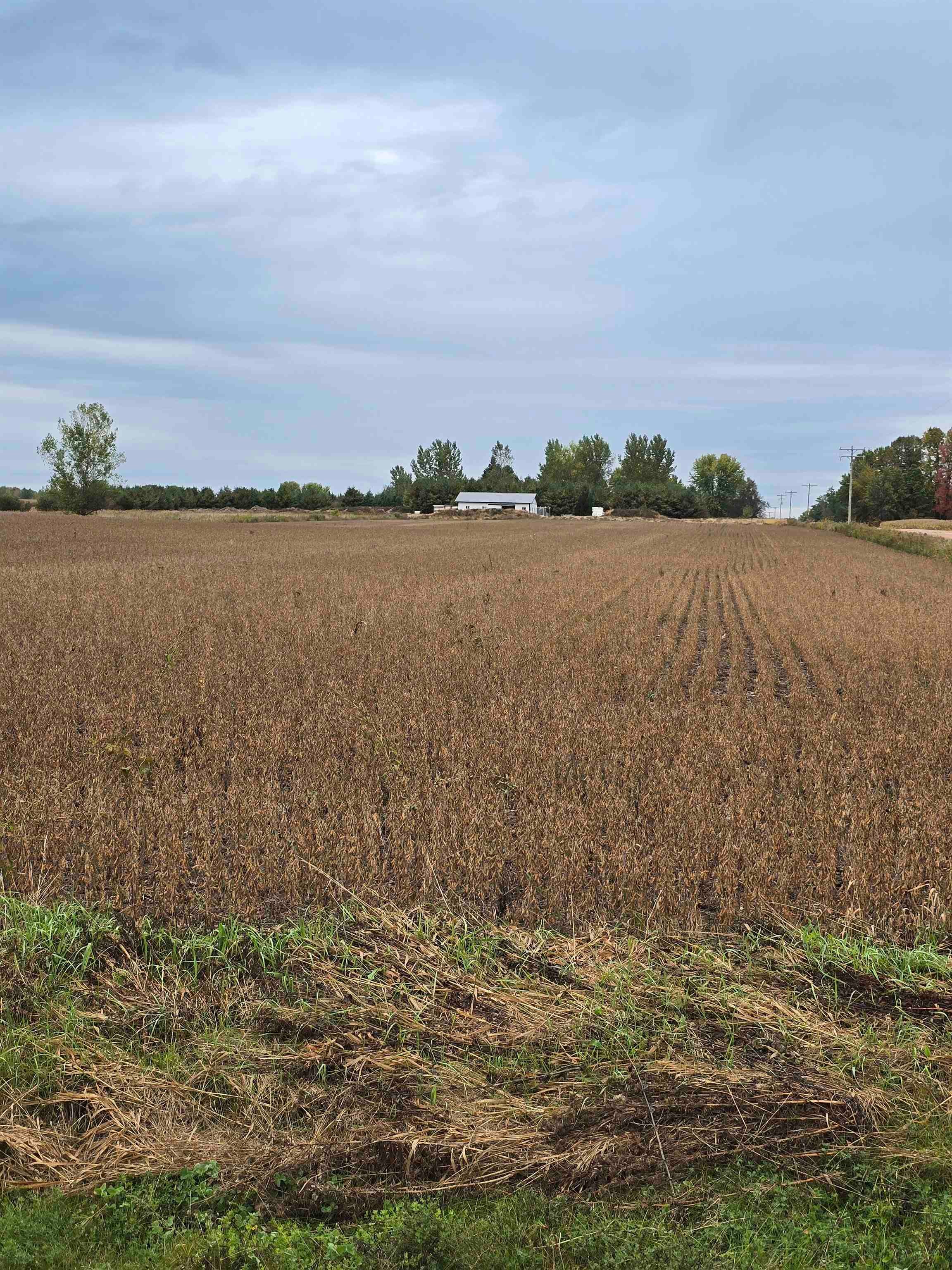 218098 HOLTMAN ROAD, Stratford, Wisconsin 54484, ,Land,For Sale,218098 HOLTMAN ROAD,22604922