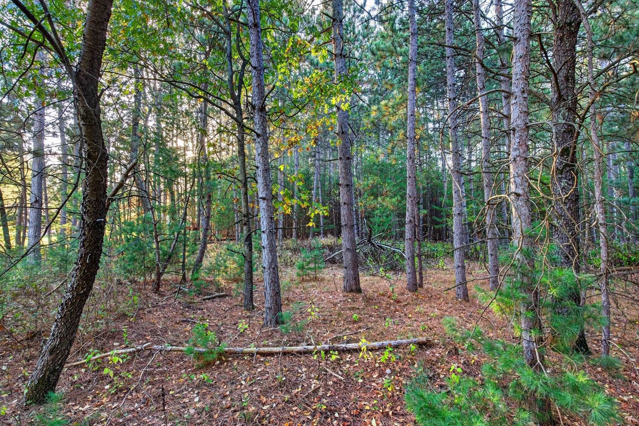 6311 MAGNOLIA DRIVE, Wisconsin Rapids, Wisconsin 54494, 1 Bedroom Bedrooms, ,2 BathroomsBathrooms,Residential,For Sale,6311 MAGNOLIA DRIVE,22605017