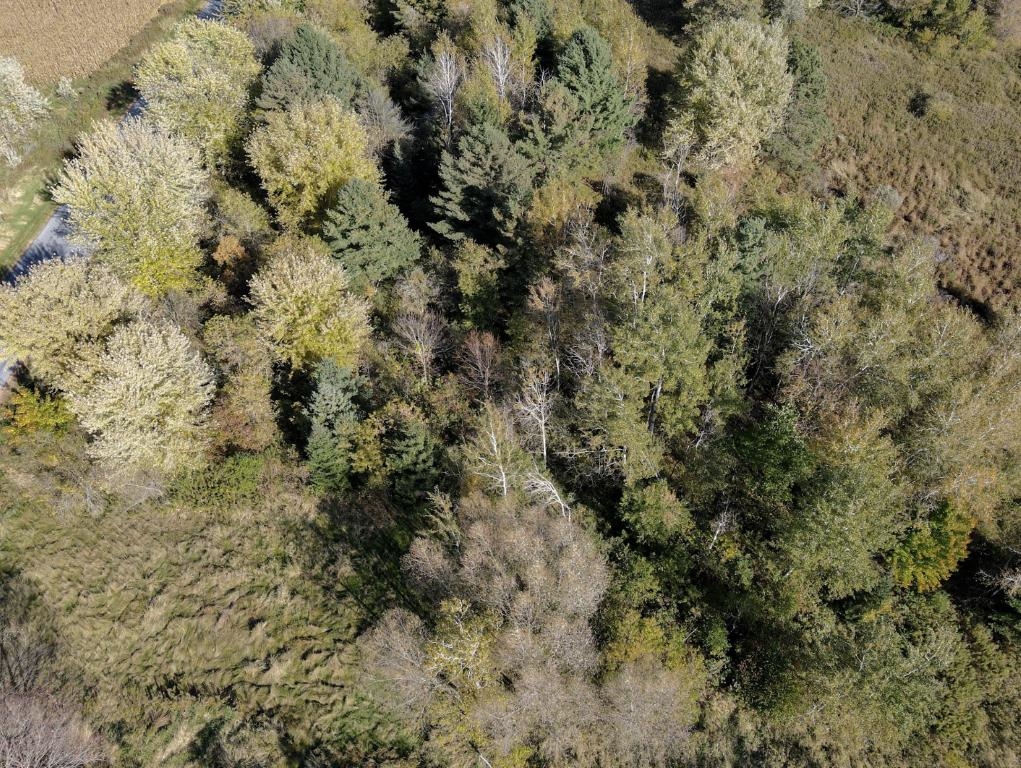 2.74 Acres STETTIN DRIVE, Marathon, Wisconsin 54448, ,Land,For Sale,2.74 Acres STETTIN DRIVE,22605134