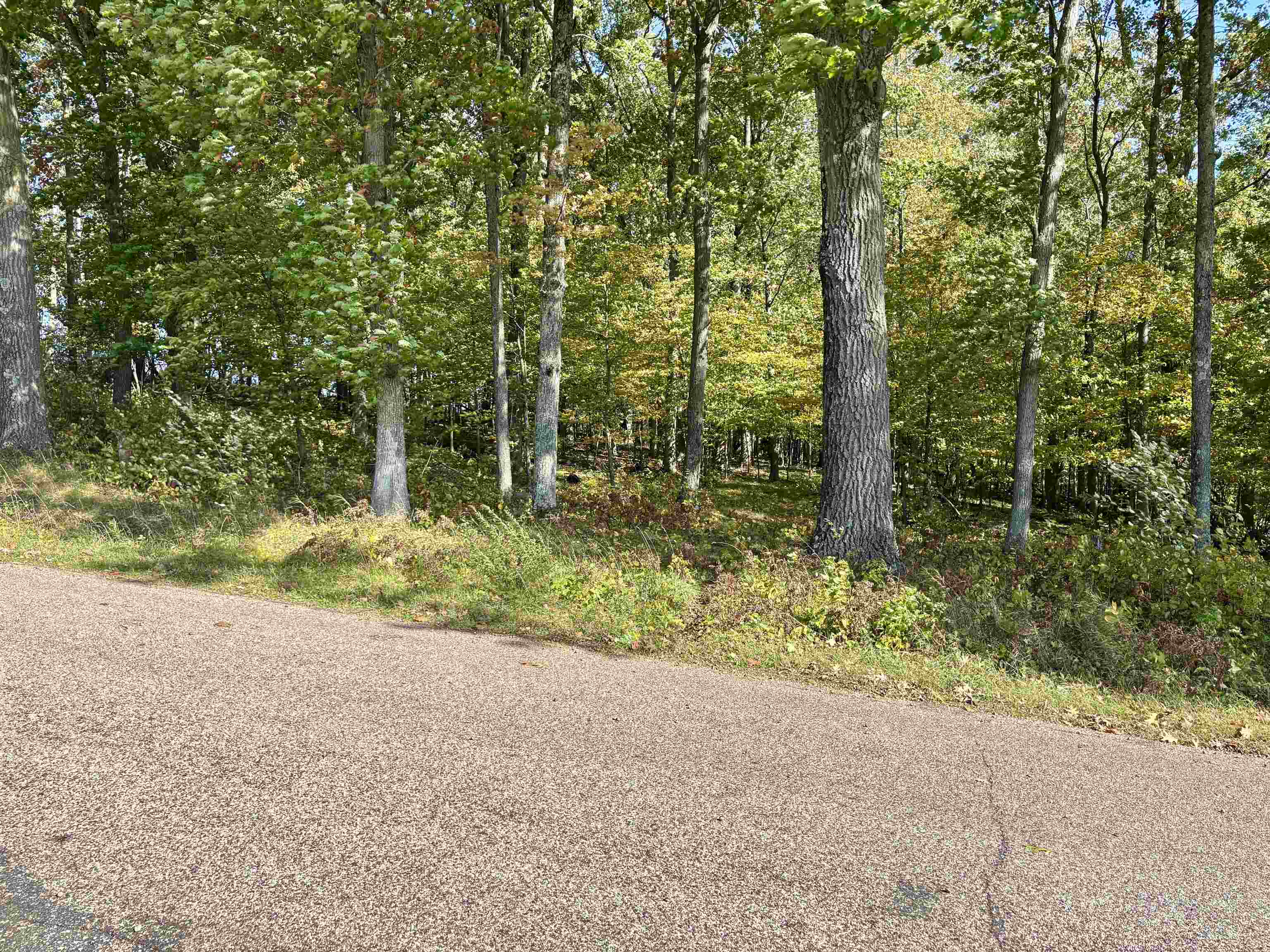Lot 1 BRANDT ROAD, Iola, Wisconsin 54945, ,Land,For Sale,Lot 1 BRANDT ROAD,22605150