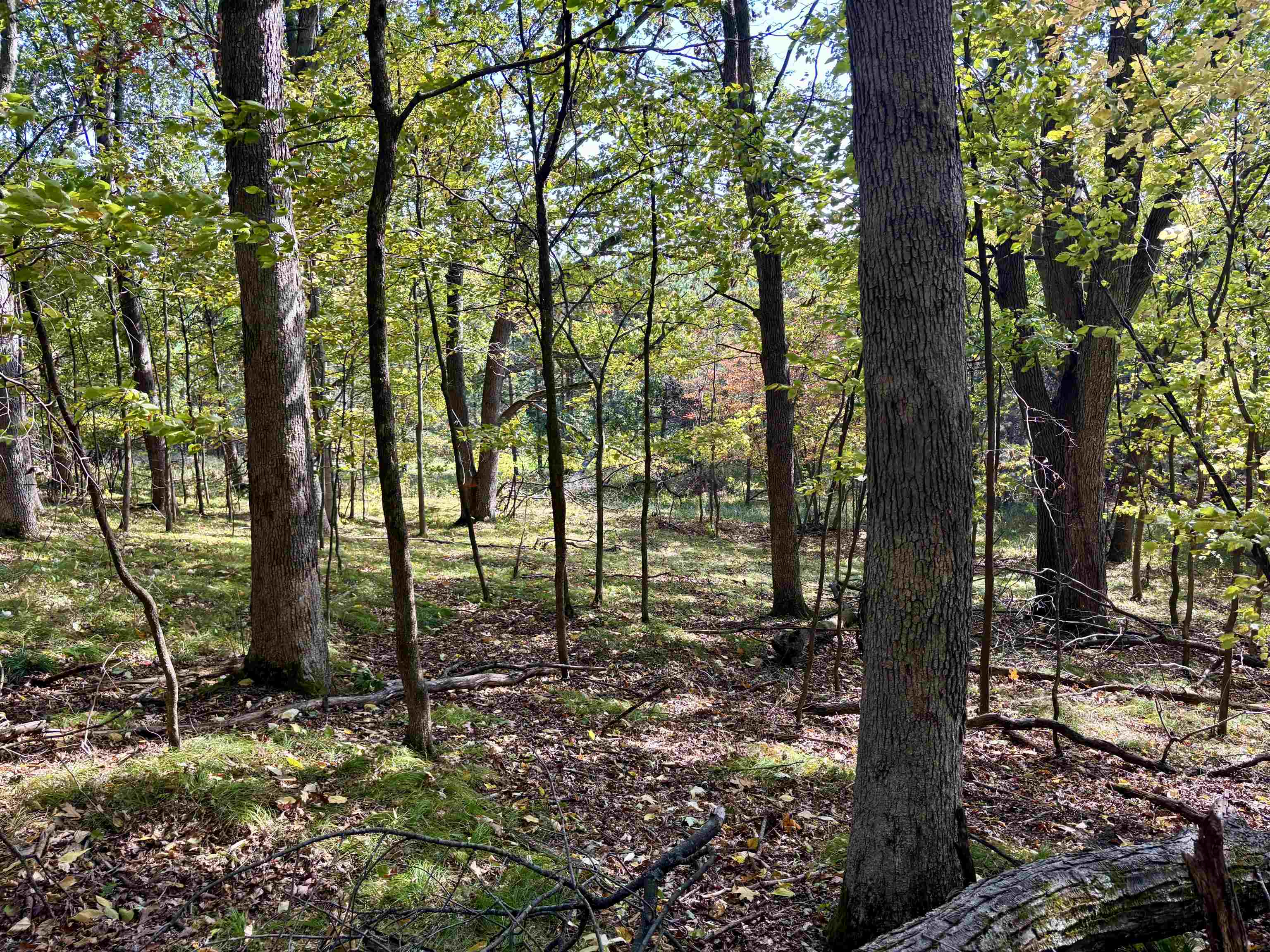Lot 1 BRANDT ROAD, Iola, Wisconsin 54945, ,Land,For Sale,Lot 1 BRANDT ROAD,22605150