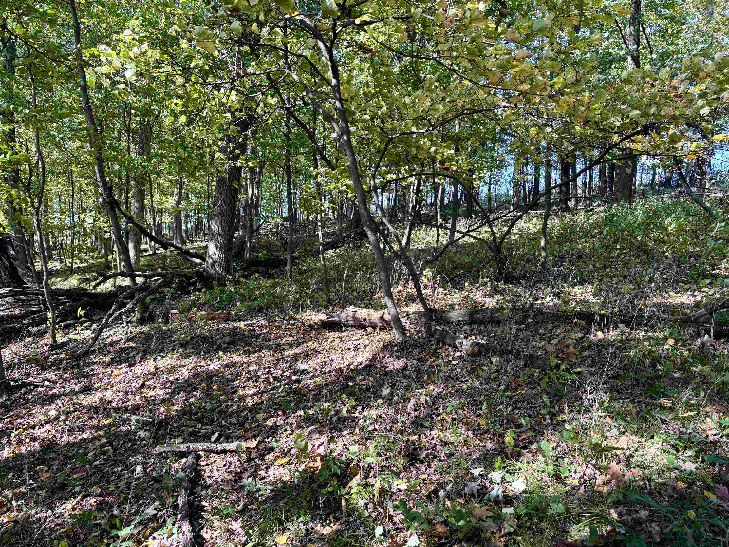 Lot 1 BRANDT ROAD, Iola, Wisconsin 54945, ,Land,For Sale,Lot 1 BRANDT ROAD,22605150