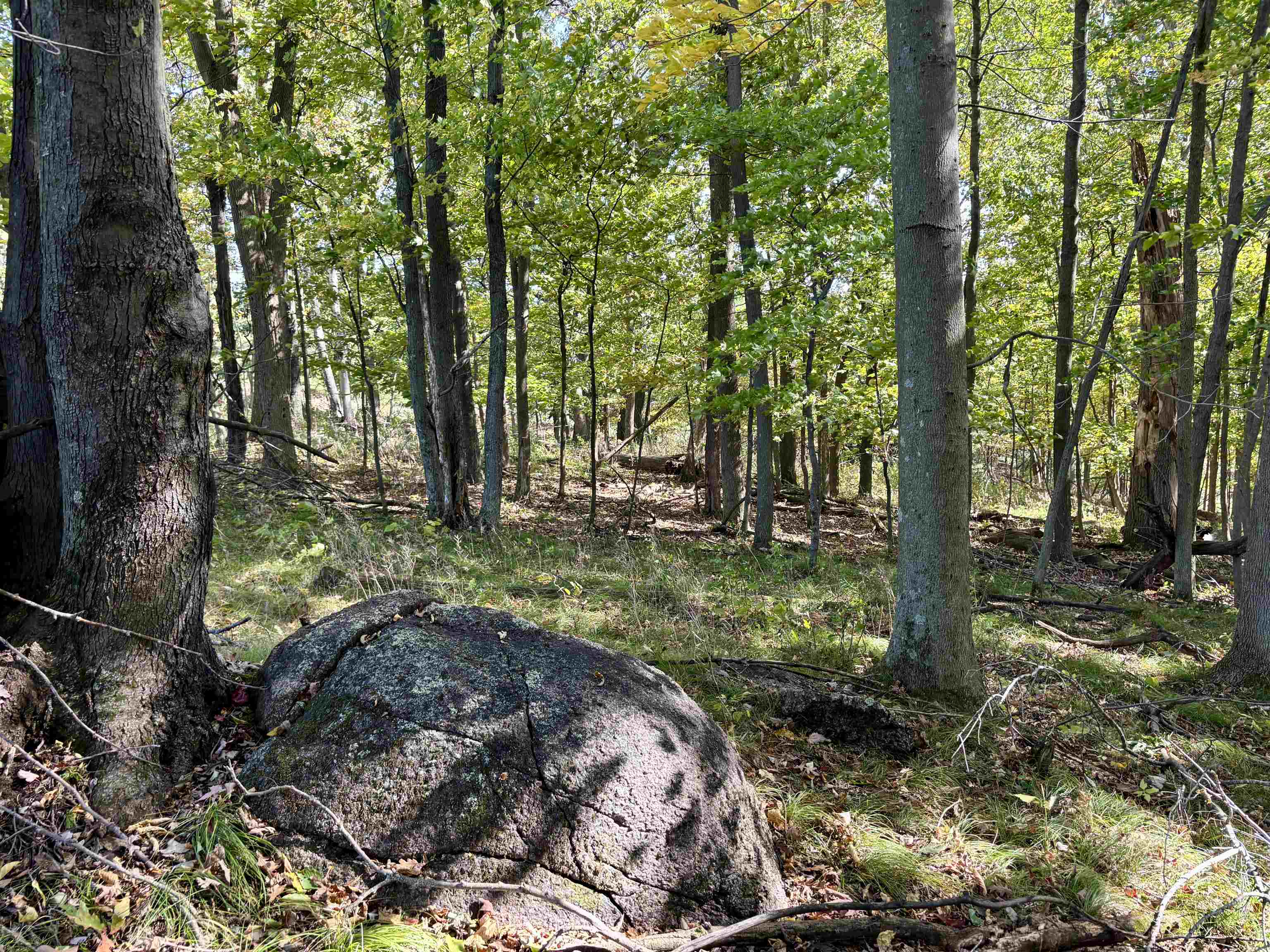 Lot 1 BRANDT ROAD, Iola, Wisconsin 54945, ,Land,For Sale,Lot 1 BRANDT ROAD,22605150