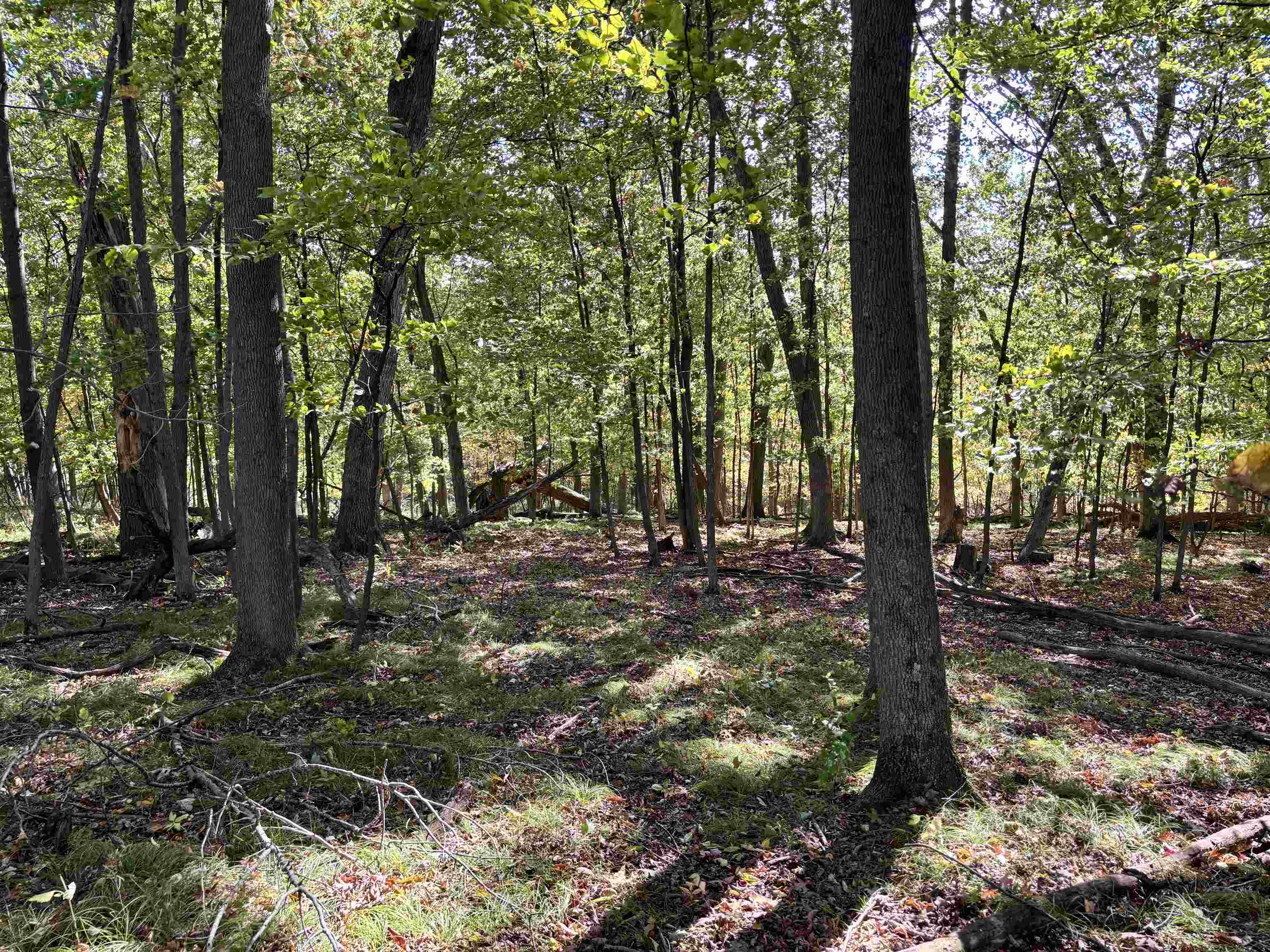 Lot 1 BRANDT ROAD, Iola, Wisconsin 54945, ,Land,For Sale,Lot 1 BRANDT ROAD,22605150