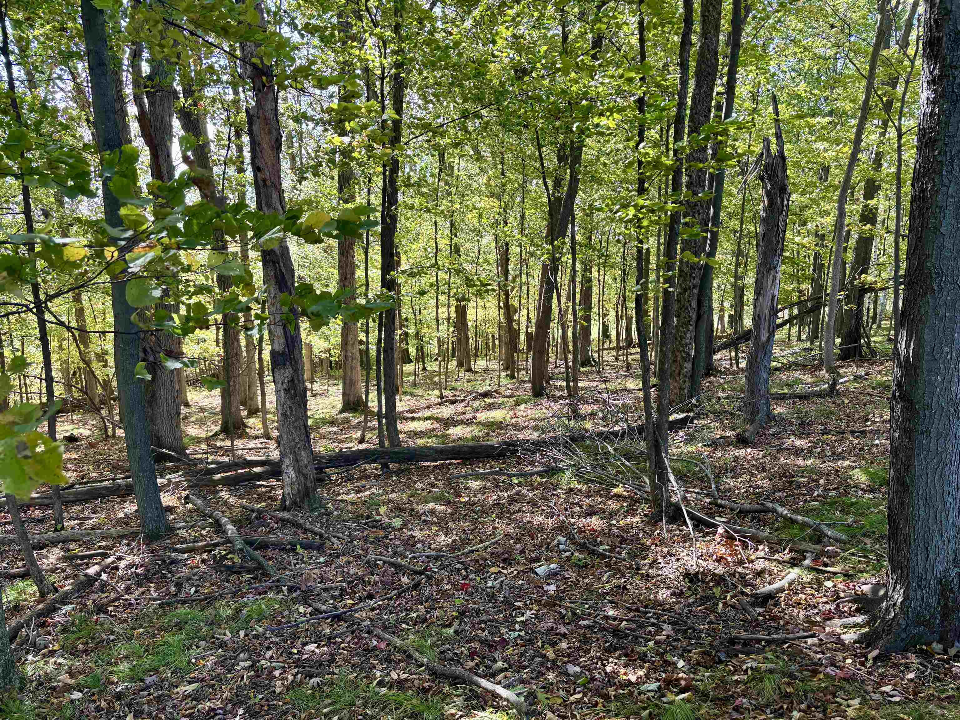 Lot 1 BRANDT ROAD, Iola, Wisconsin 54945, ,Land,For Sale,Lot 1 BRANDT ROAD,22605150