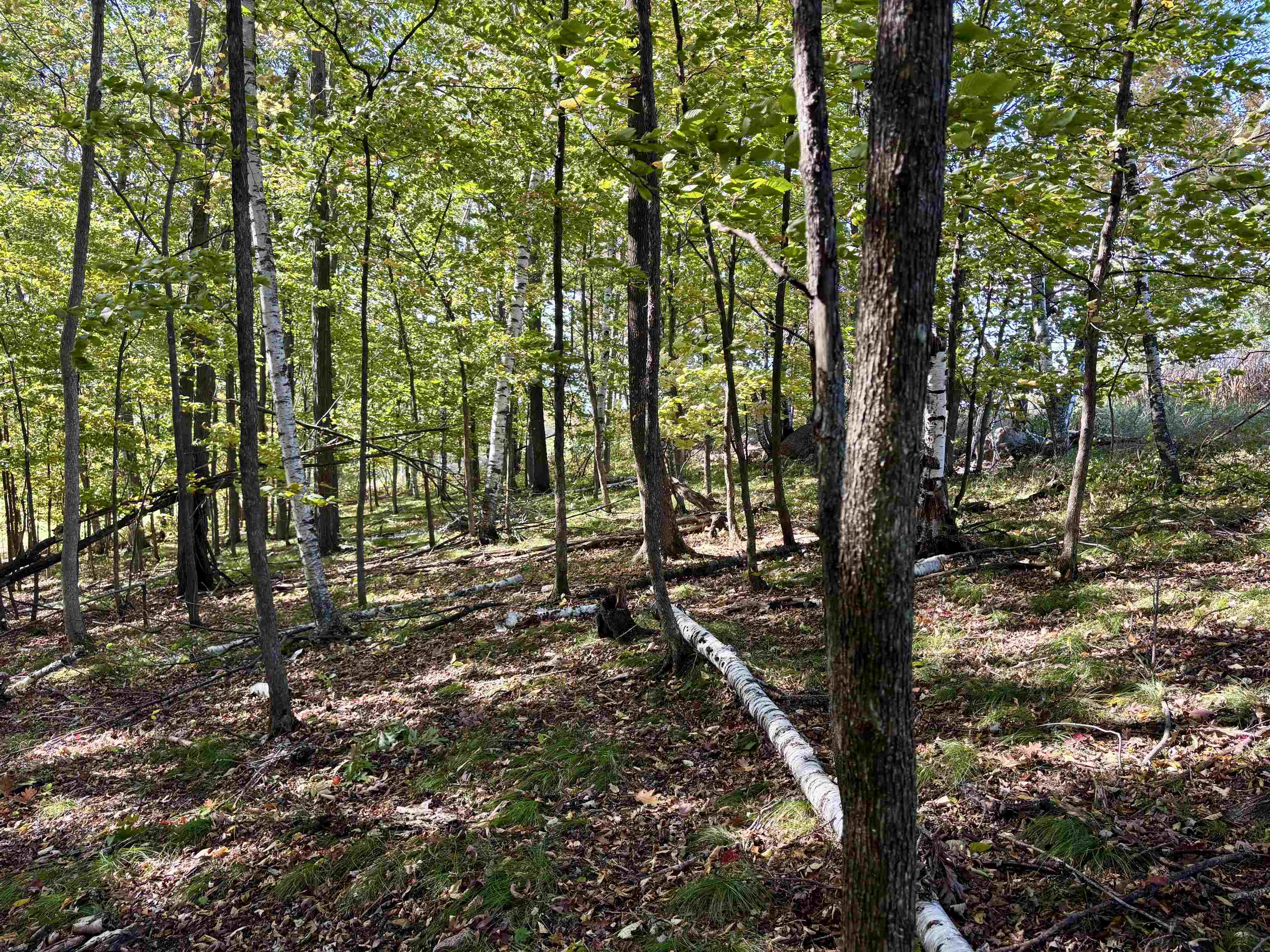 Lot 1 BRANDT ROAD, Iola, Wisconsin 54945, ,Land,For Sale,Lot 1 BRANDT ROAD,22605150