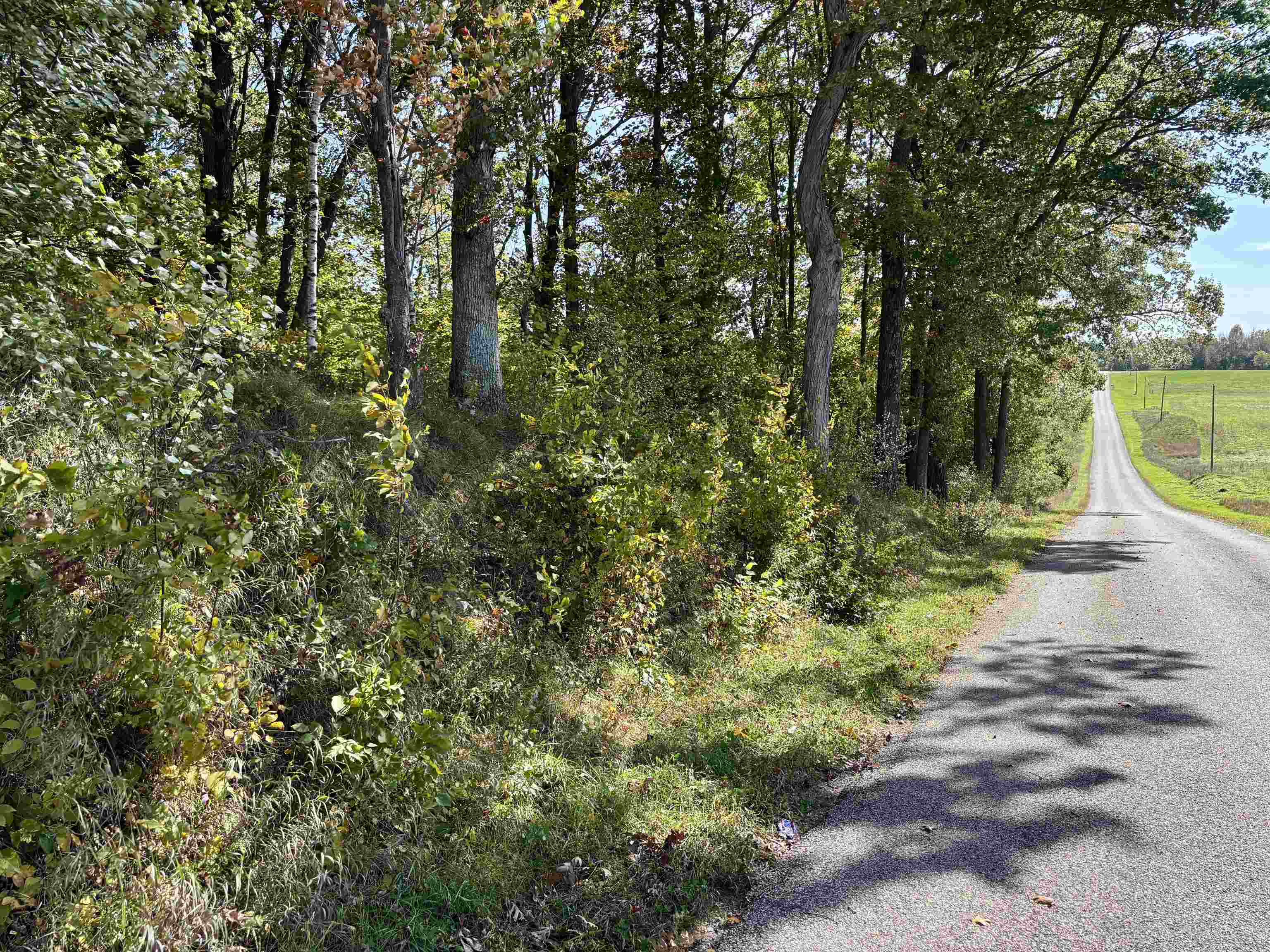 Lot 1 BRANDT ROAD, Iola, Wisconsin 54945, ,Land,For Sale,Lot 1 BRANDT ROAD,22605150