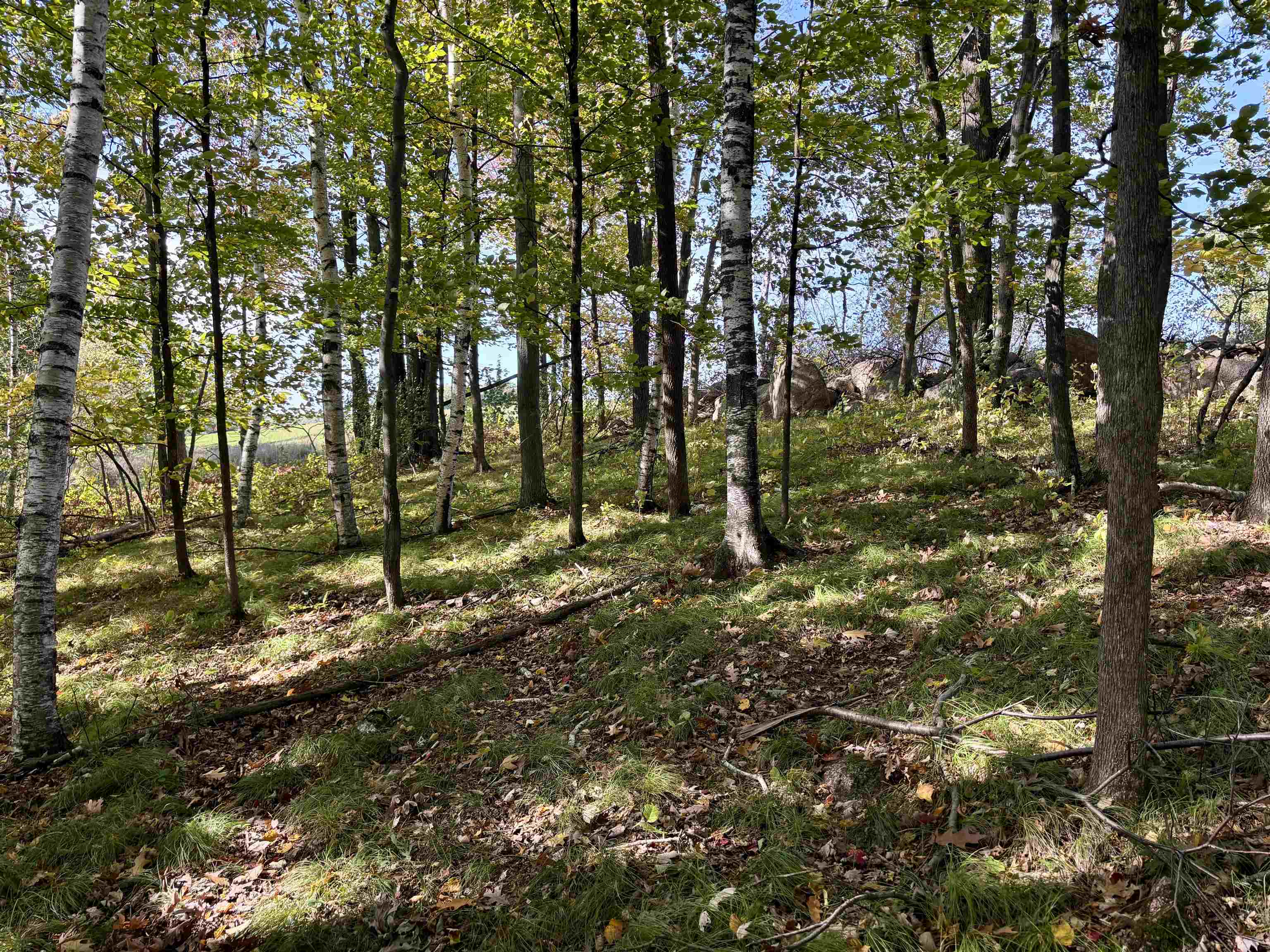 Lot 1 BRANDT ROAD, Iola, Wisconsin 54945, ,Land,For Sale,Lot 1 BRANDT ROAD,22605150