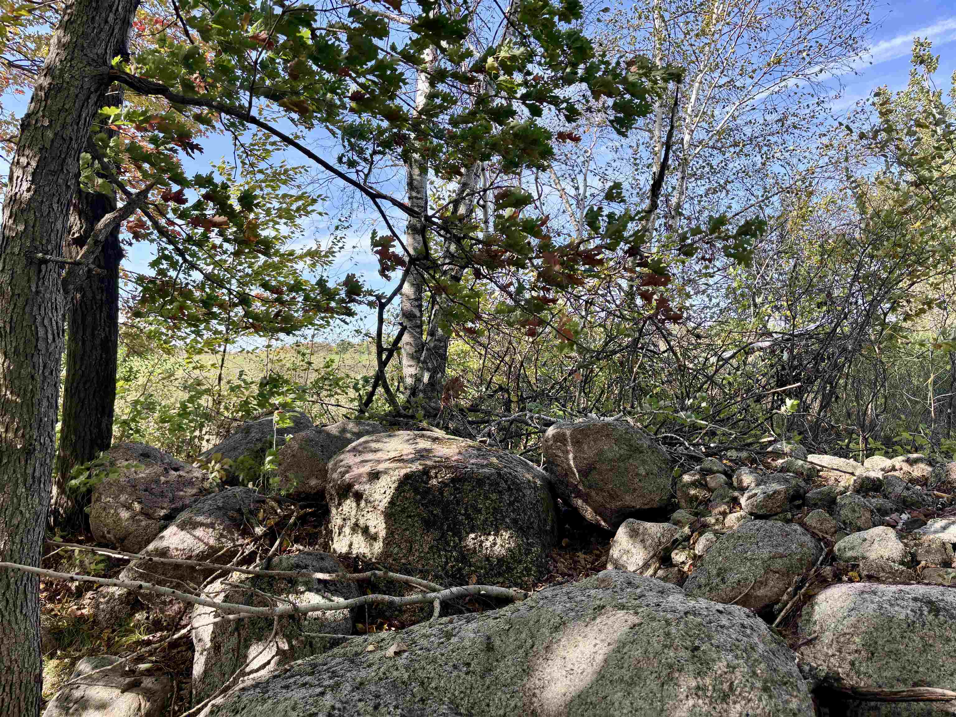 Lot 1 BRANDT ROAD, Iola, Wisconsin 54945, ,Land,For Sale,Lot 1 BRANDT ROAD,22605150