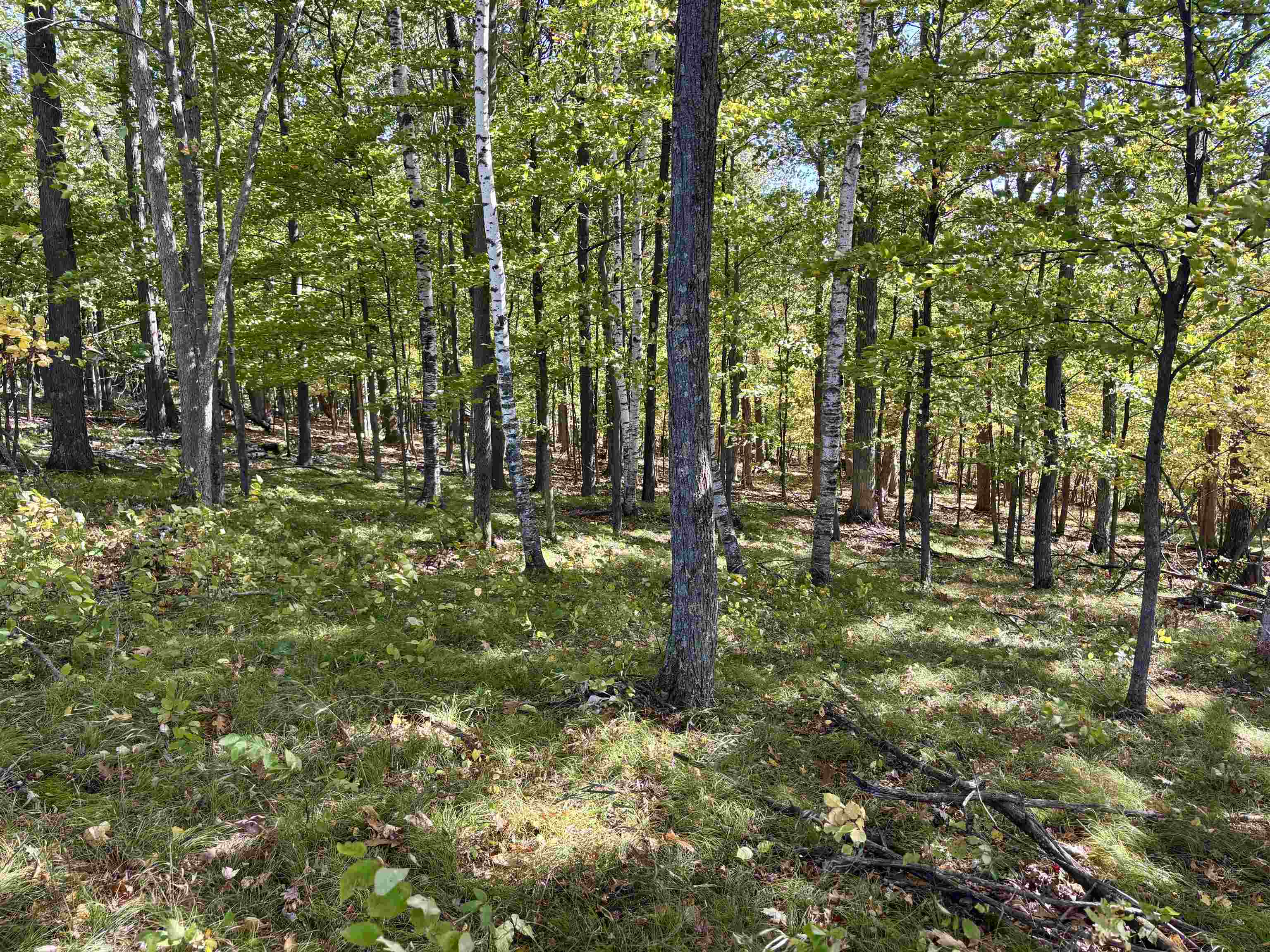Lot 1 BRANDT ROAD, Iola, Wisconsin 54945, ,Land,For Sale,Lot 1 BRANDT ROAD,22605150