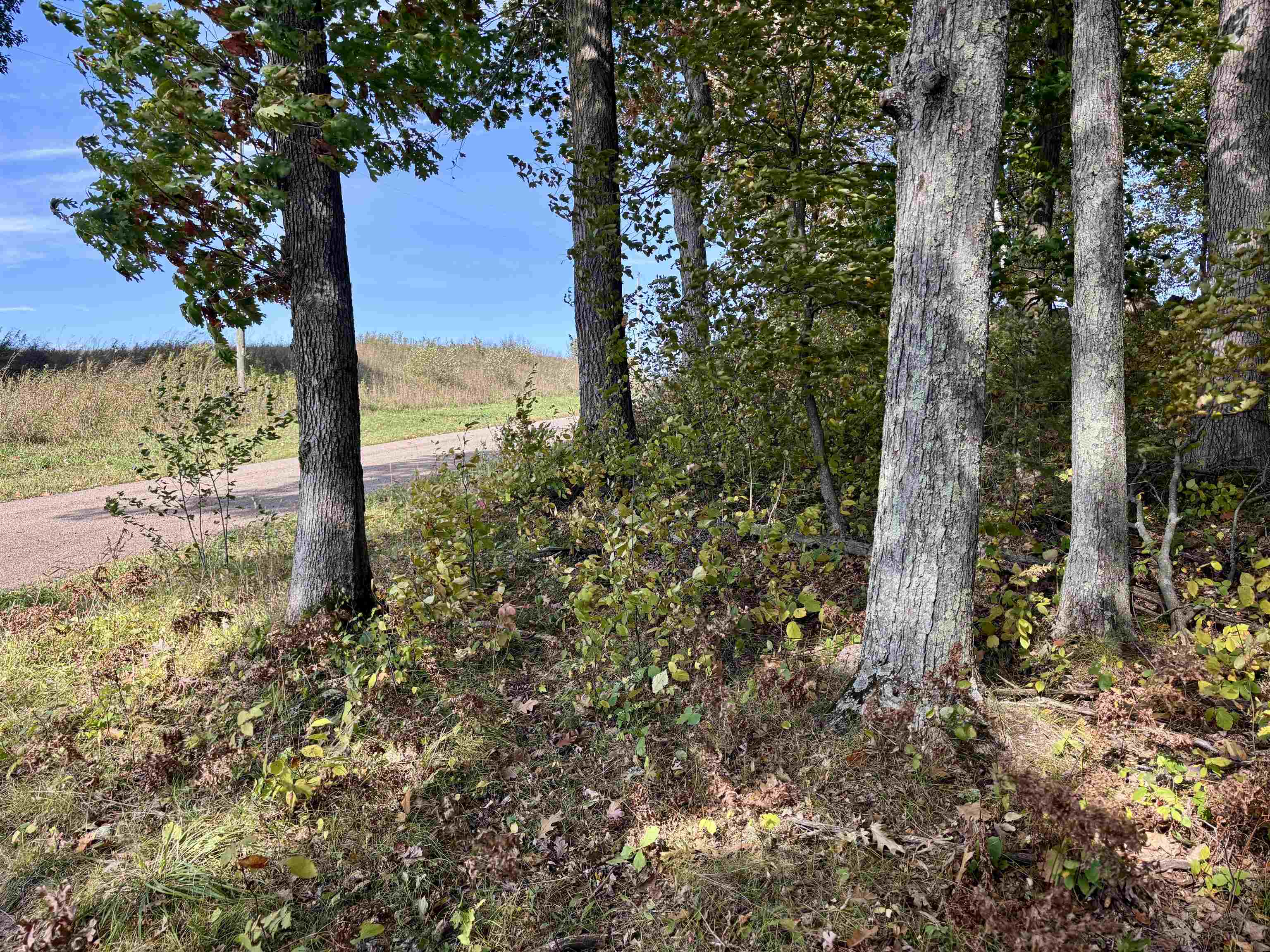Lot 1 BRANDT ROAD, Iola, Wisconsin 54945, ,Land,For Sale,Lot 1 BRANDT ROAD,22605150